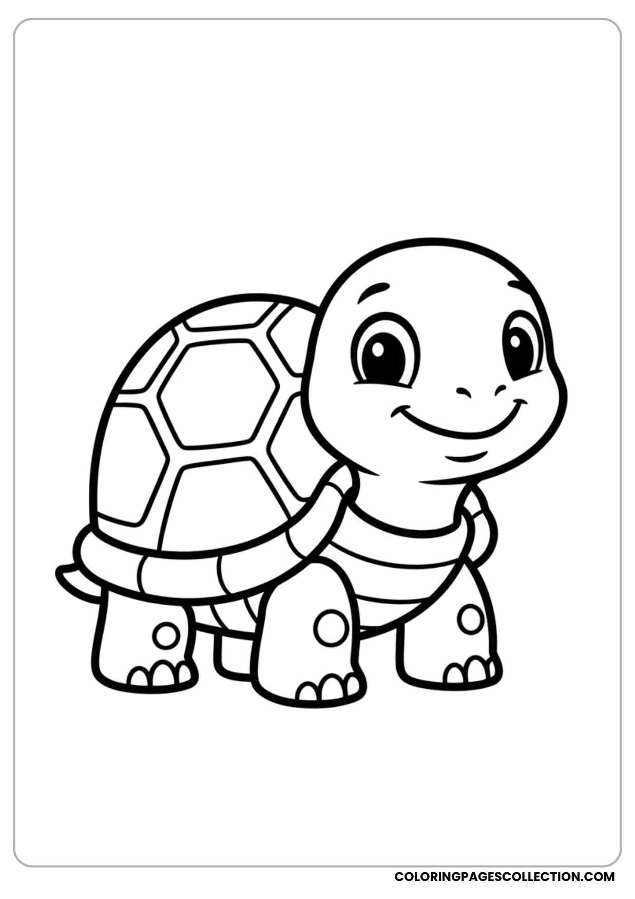 Simple Cartoon Turtle for Toddlers