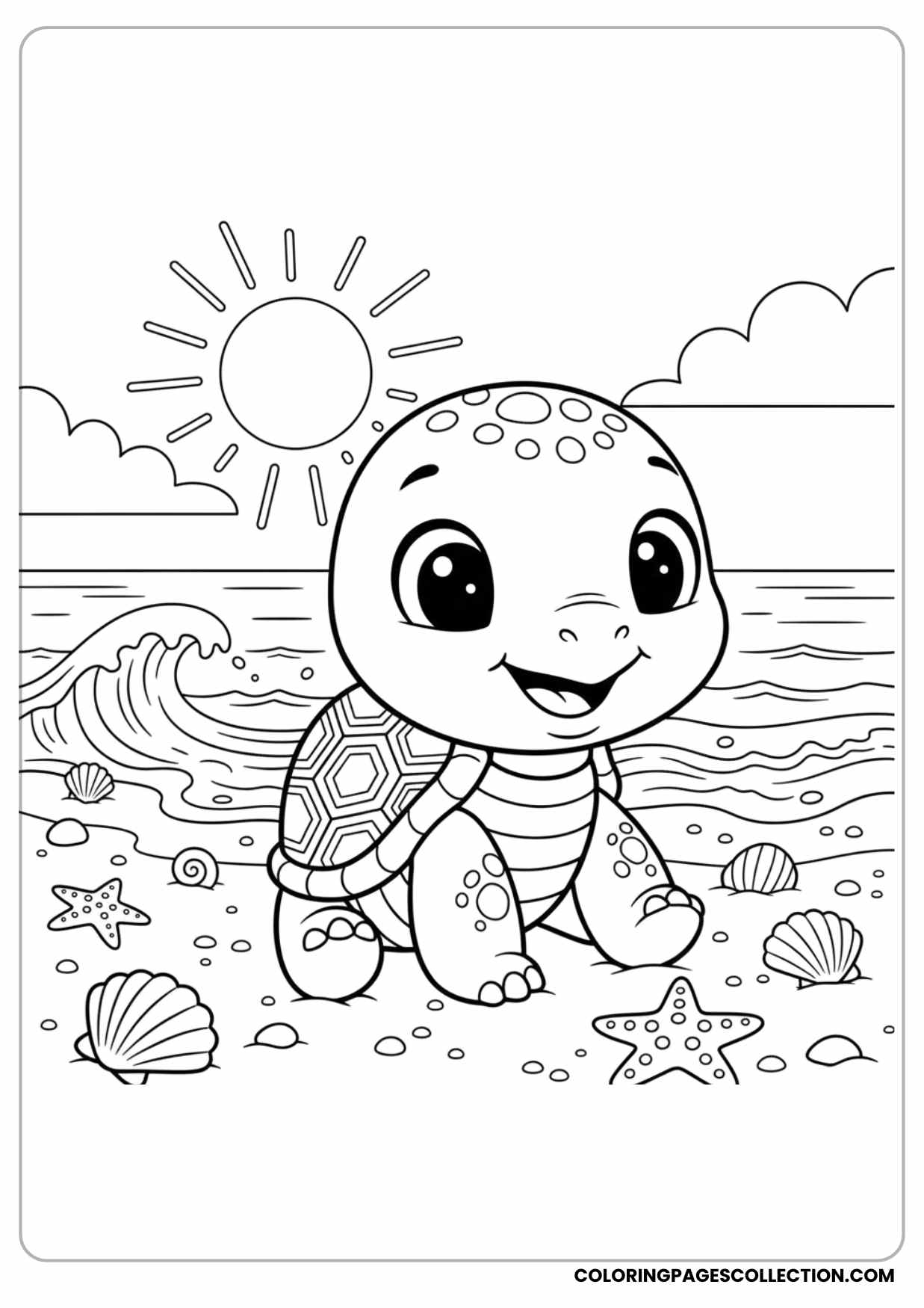 Turtle Playing on Beach