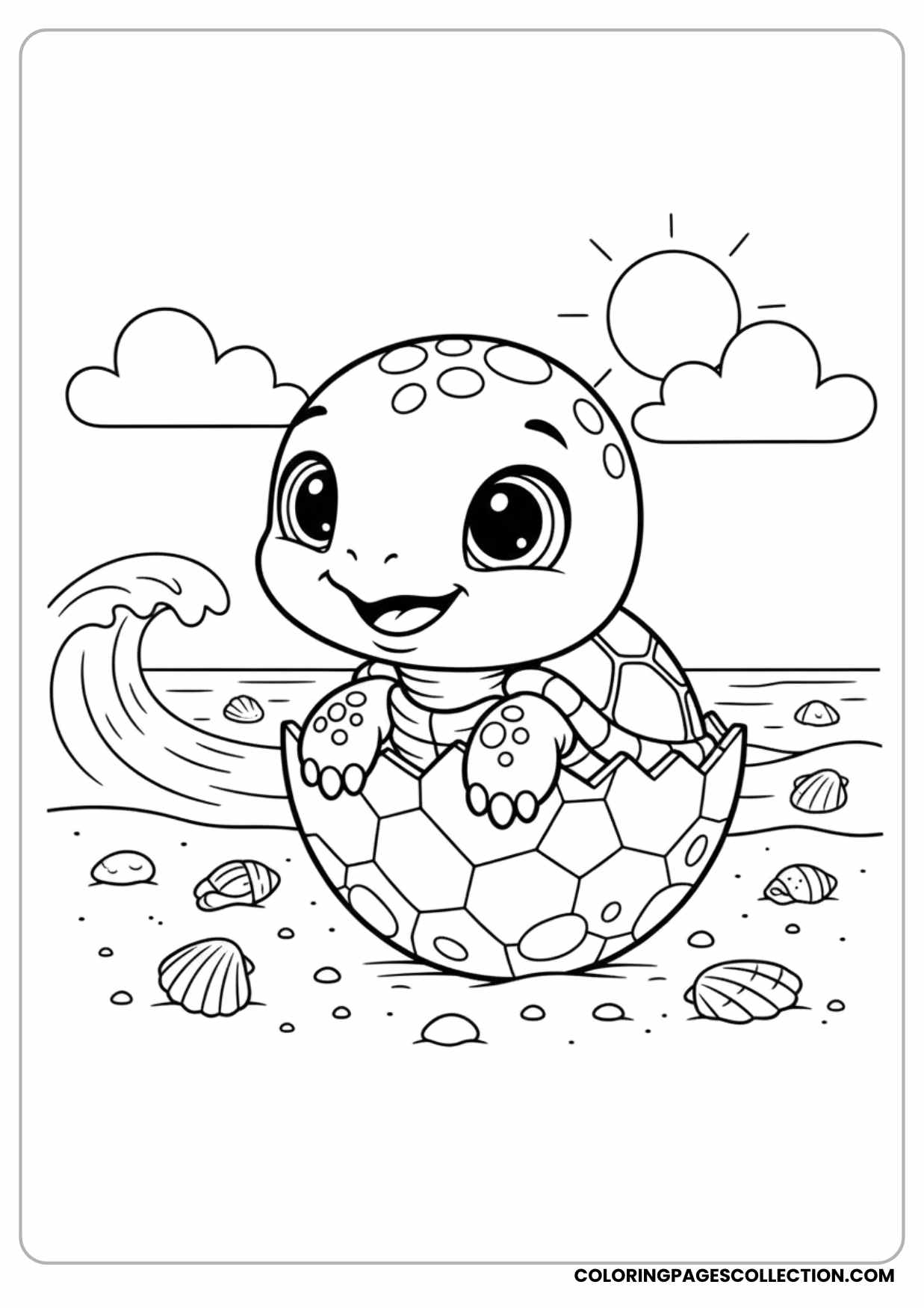 Baby Turtle Hatching from Egg