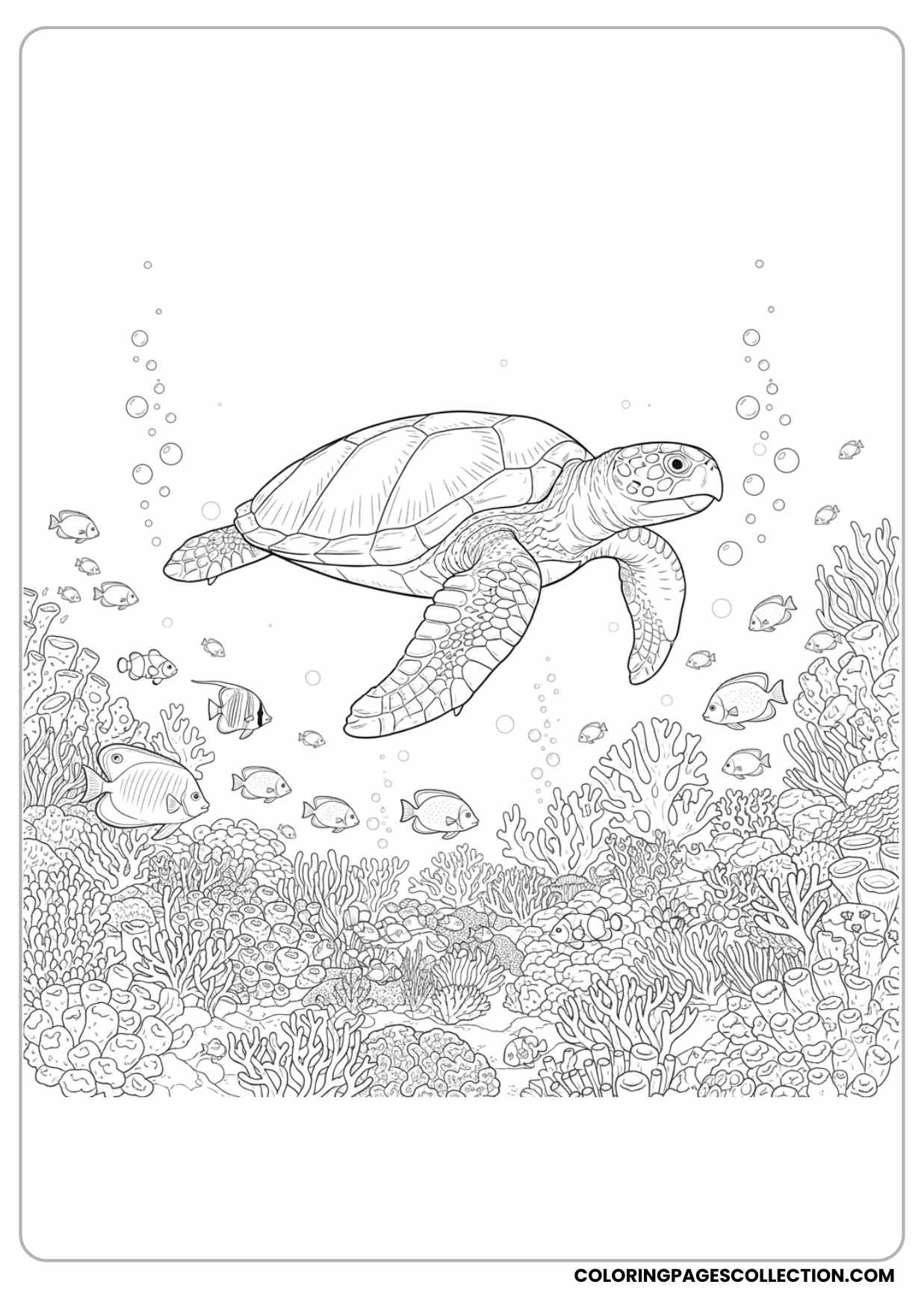 Sea Turtle Underwater Scene
