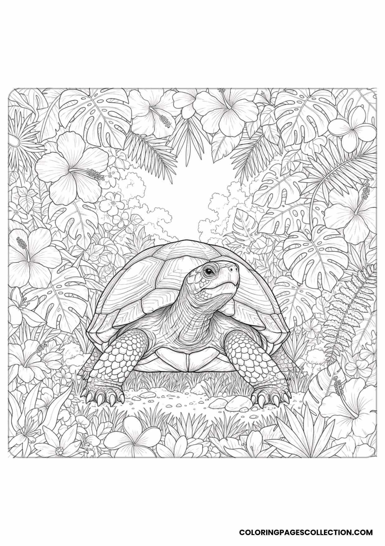 Realistic Turtle with Flowers