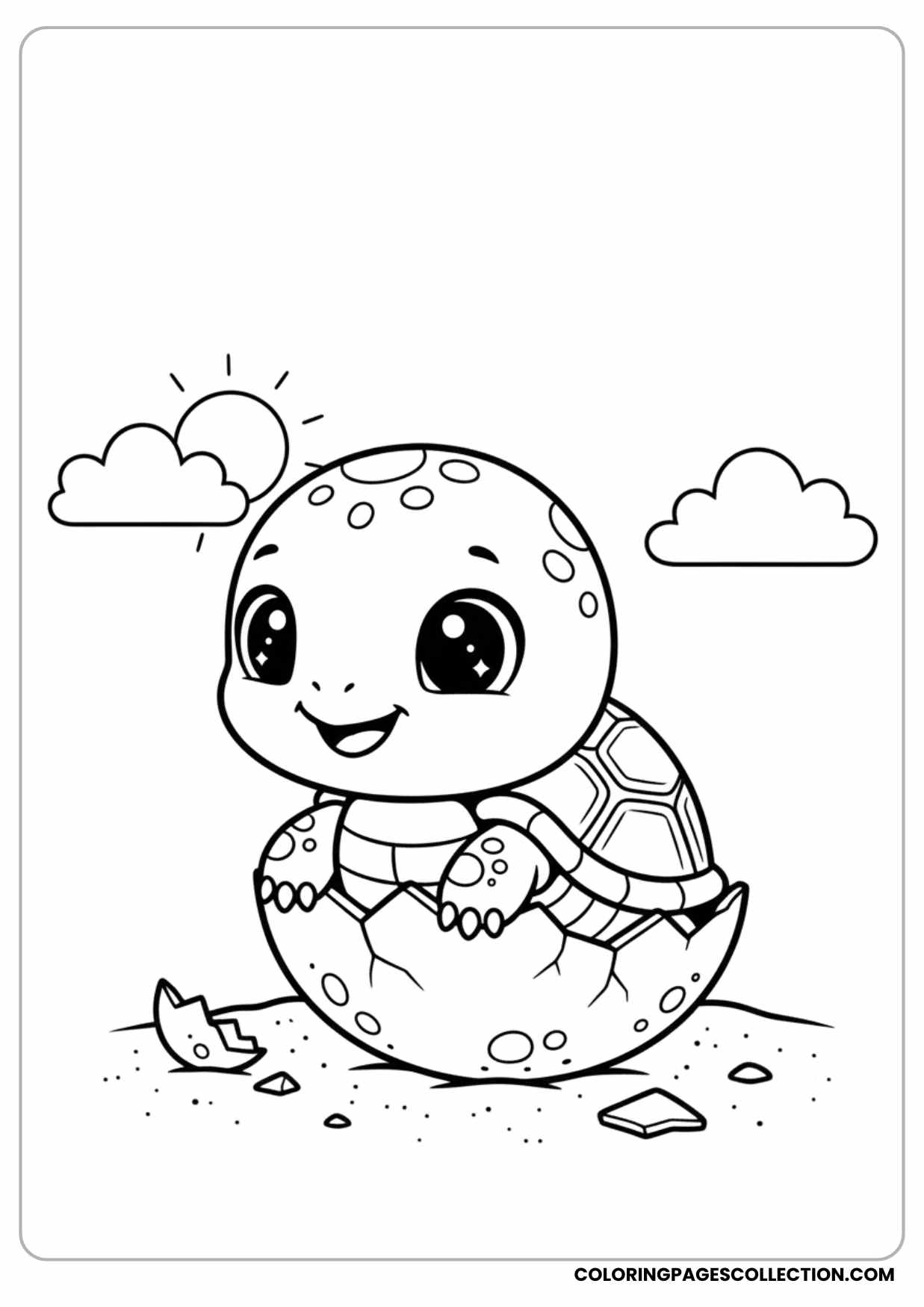 Baby Turtle Hatching