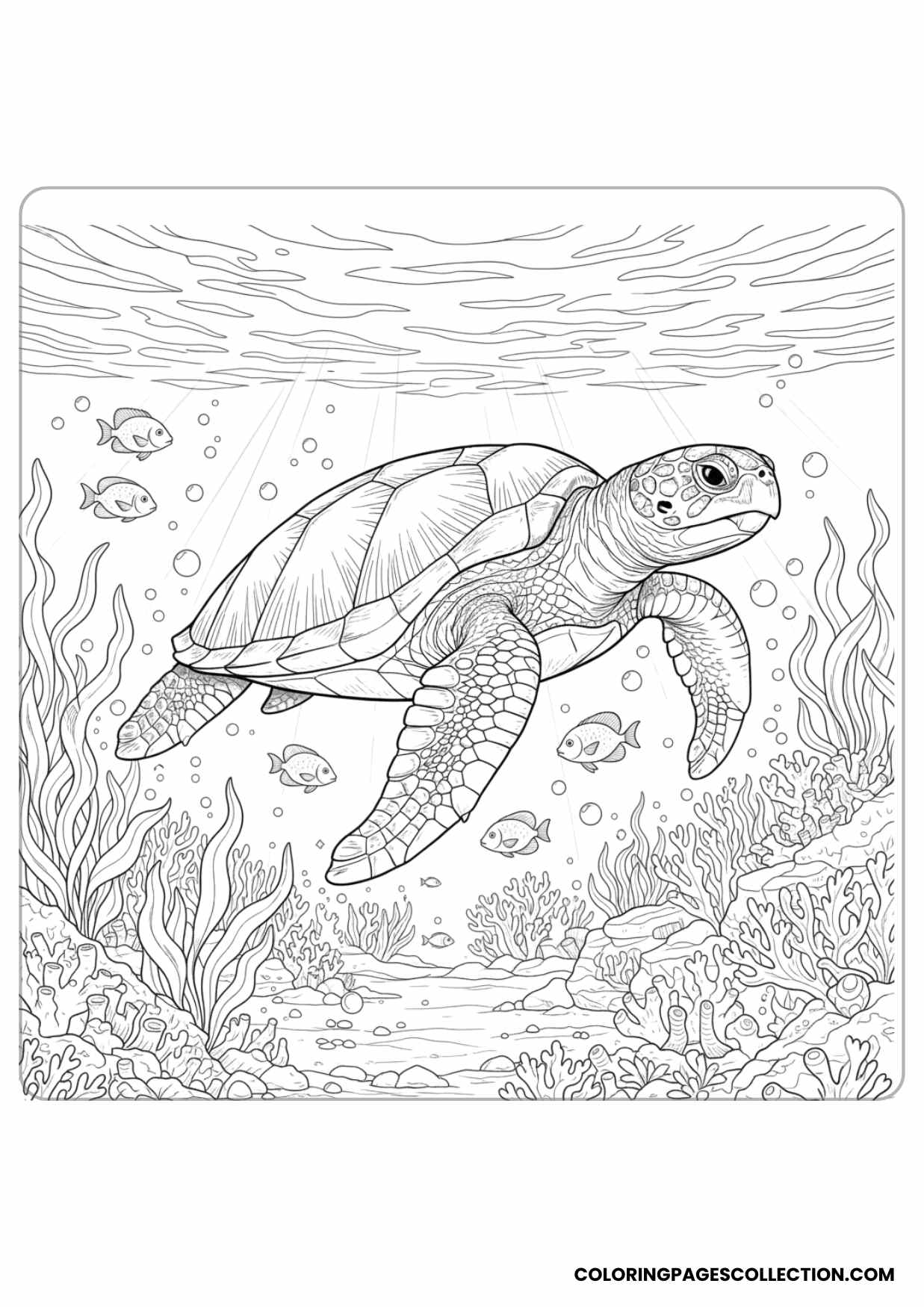 Sea Turtle Swimming Underwater