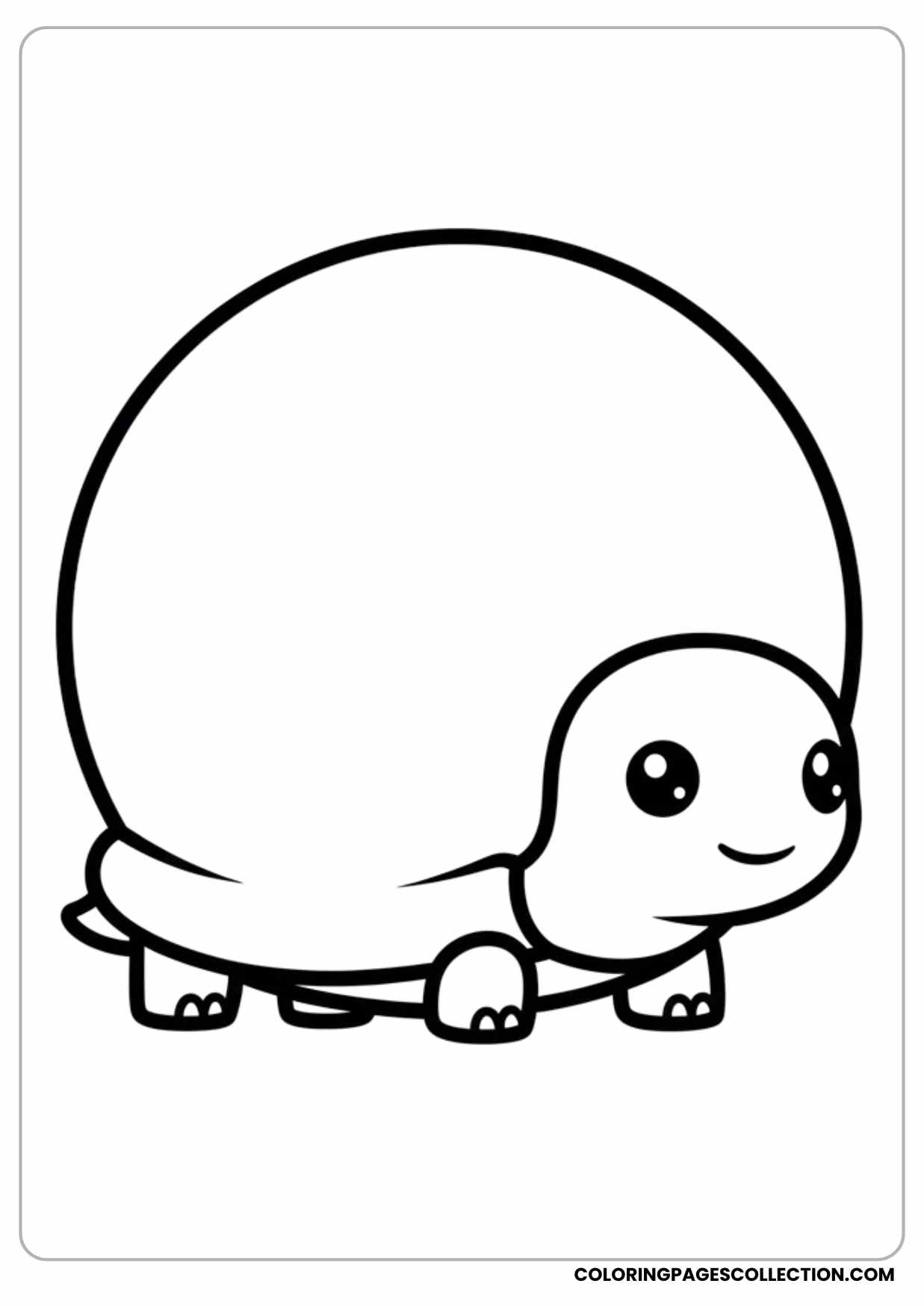 Simple Turtle Line Drawing