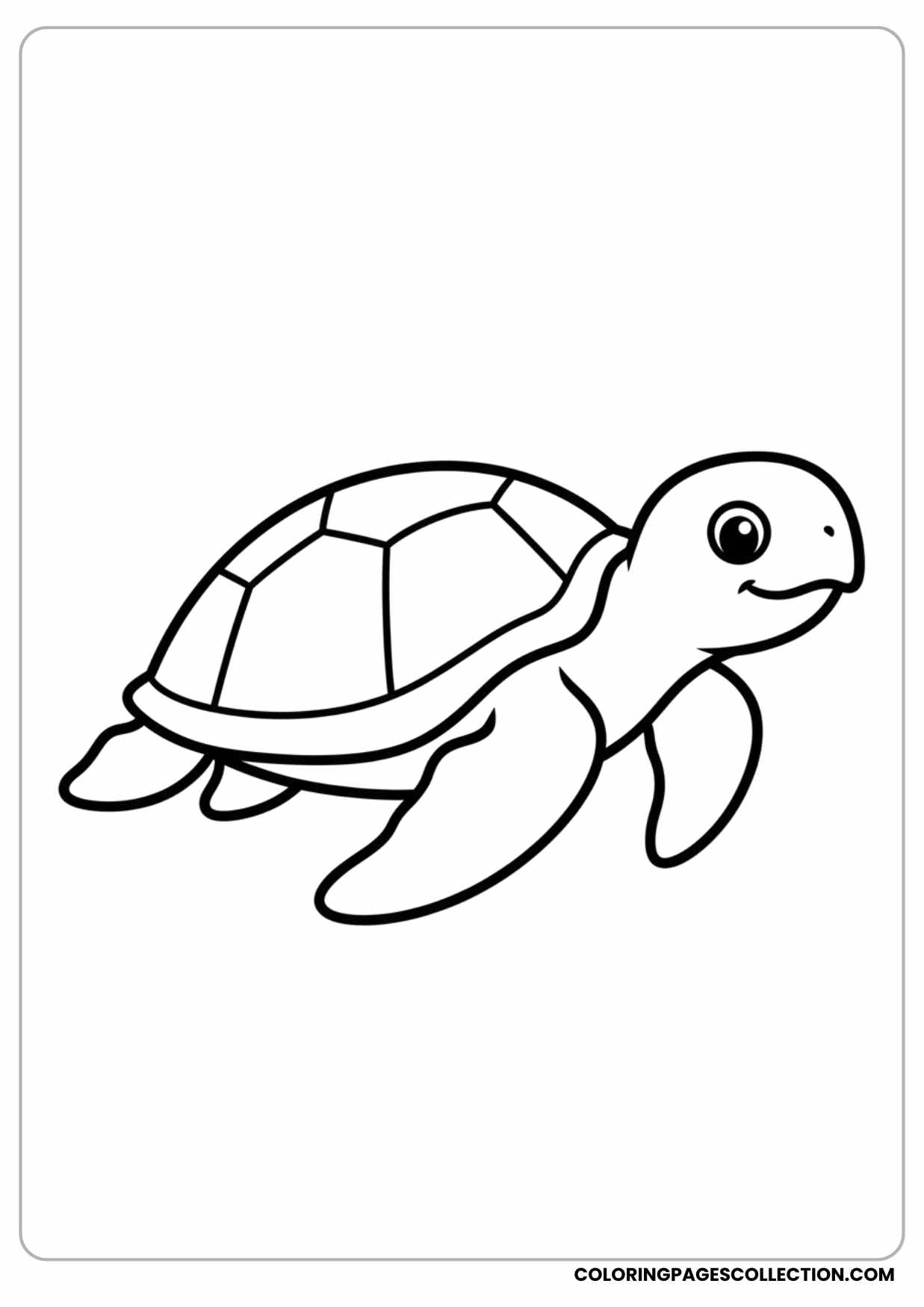 Simple Sea Turtle Outline