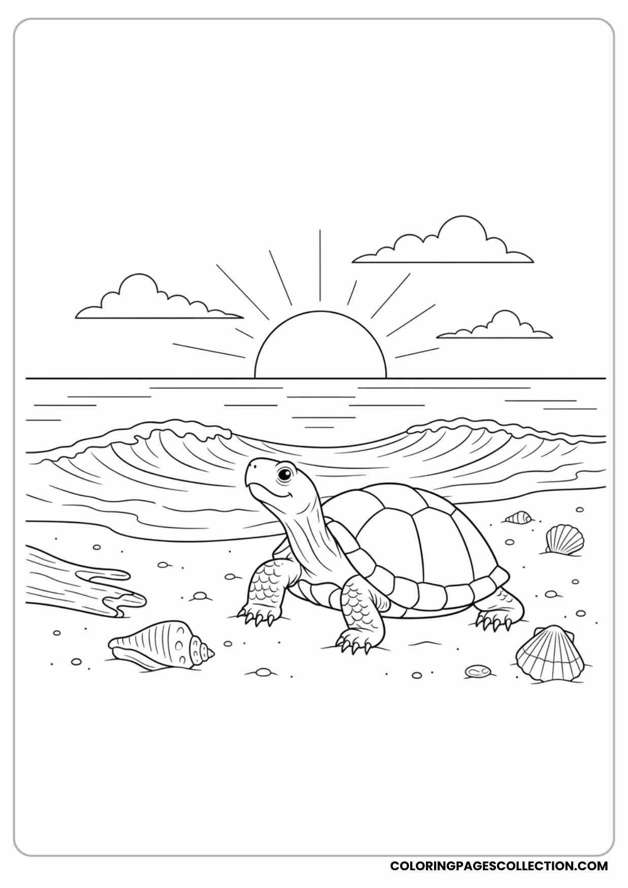 Turtle at the Beach Coloring Page