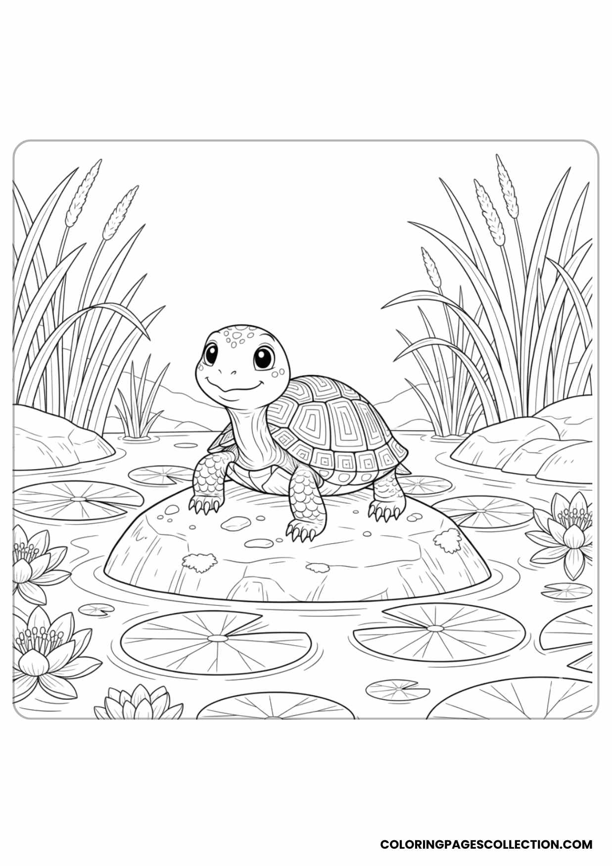 Turtle on a Rock by the Pond