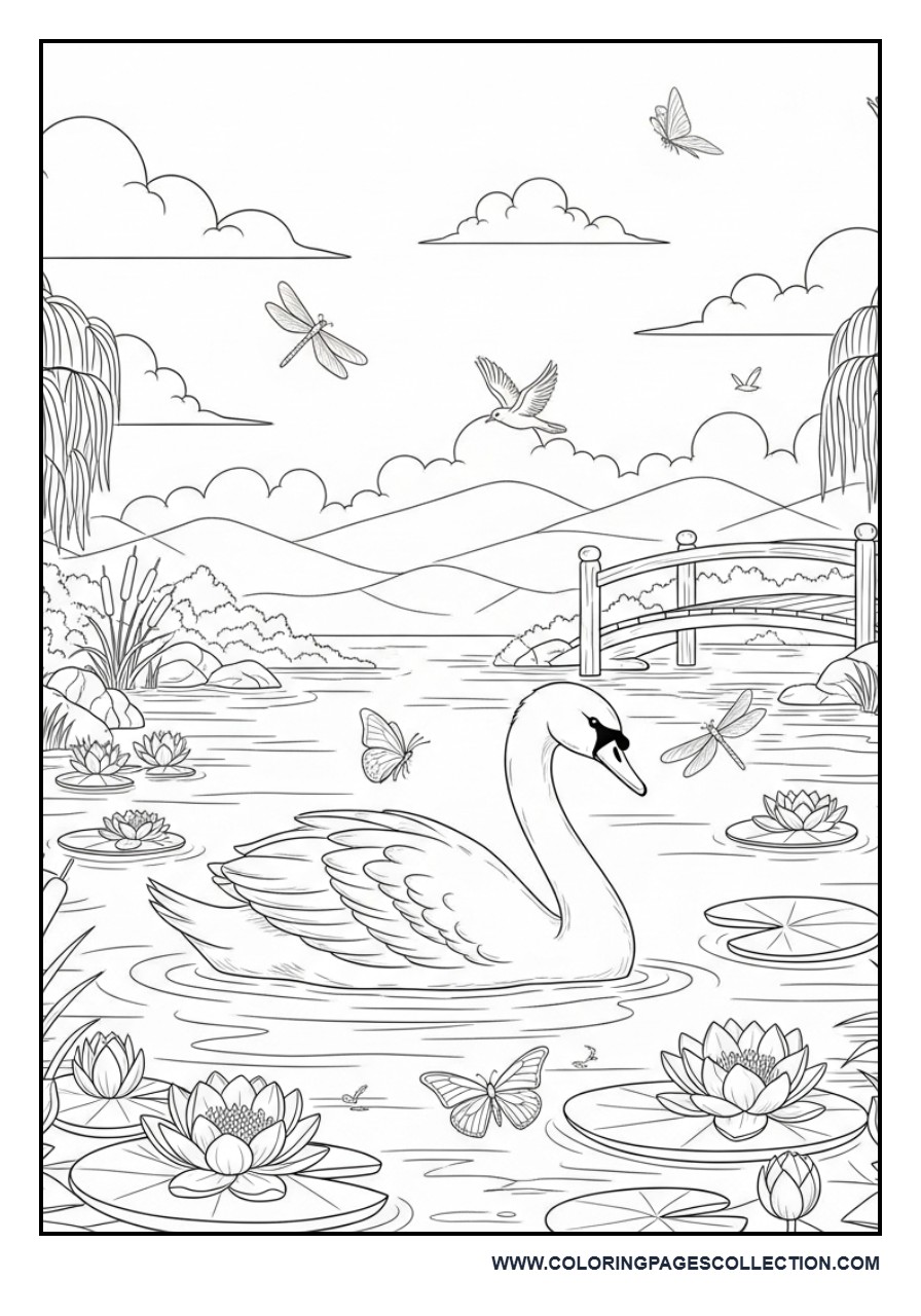Elegant Swan Lake