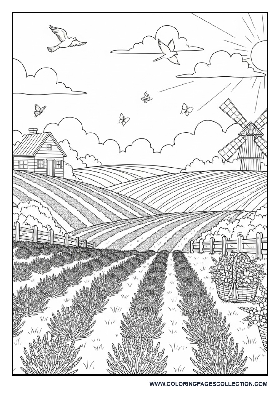 Peaceful Lavender Farm