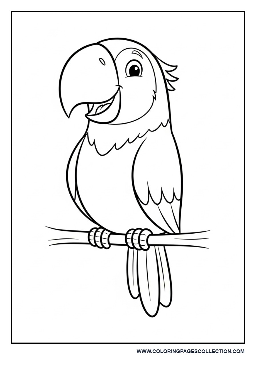 Cute Parrot Sitting