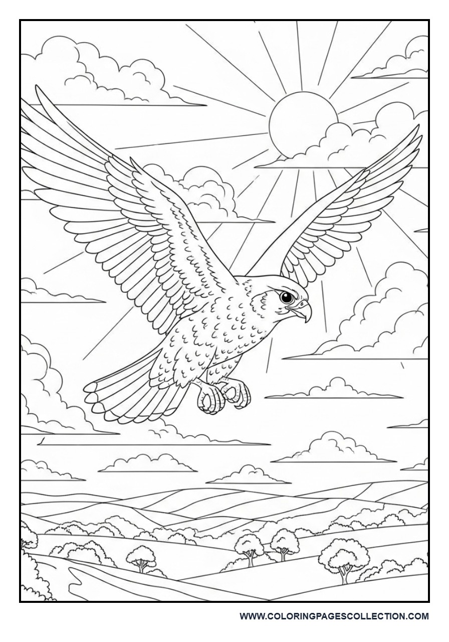 Falcon Gliding Through the Sky
