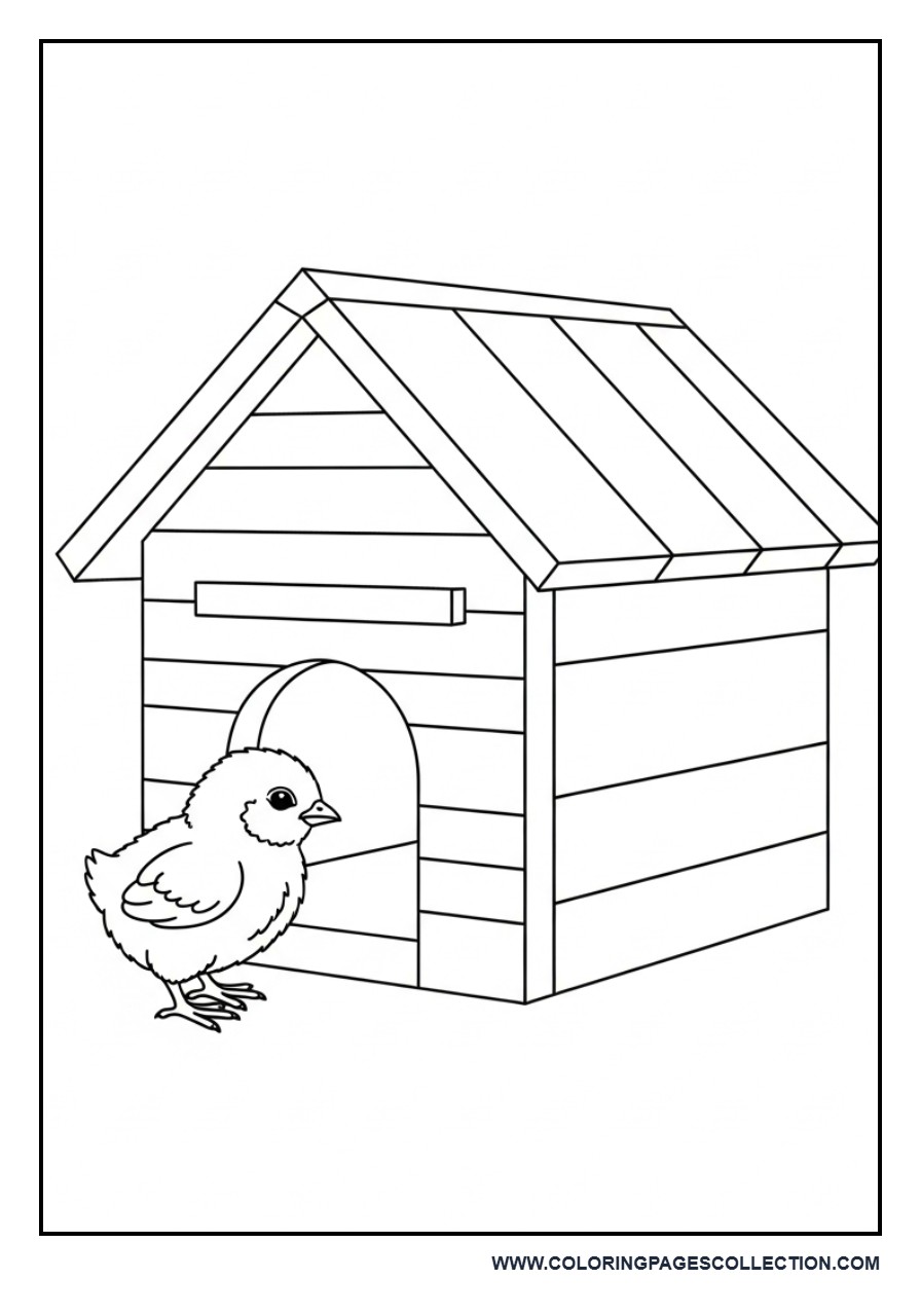 Chick Near Coop Door