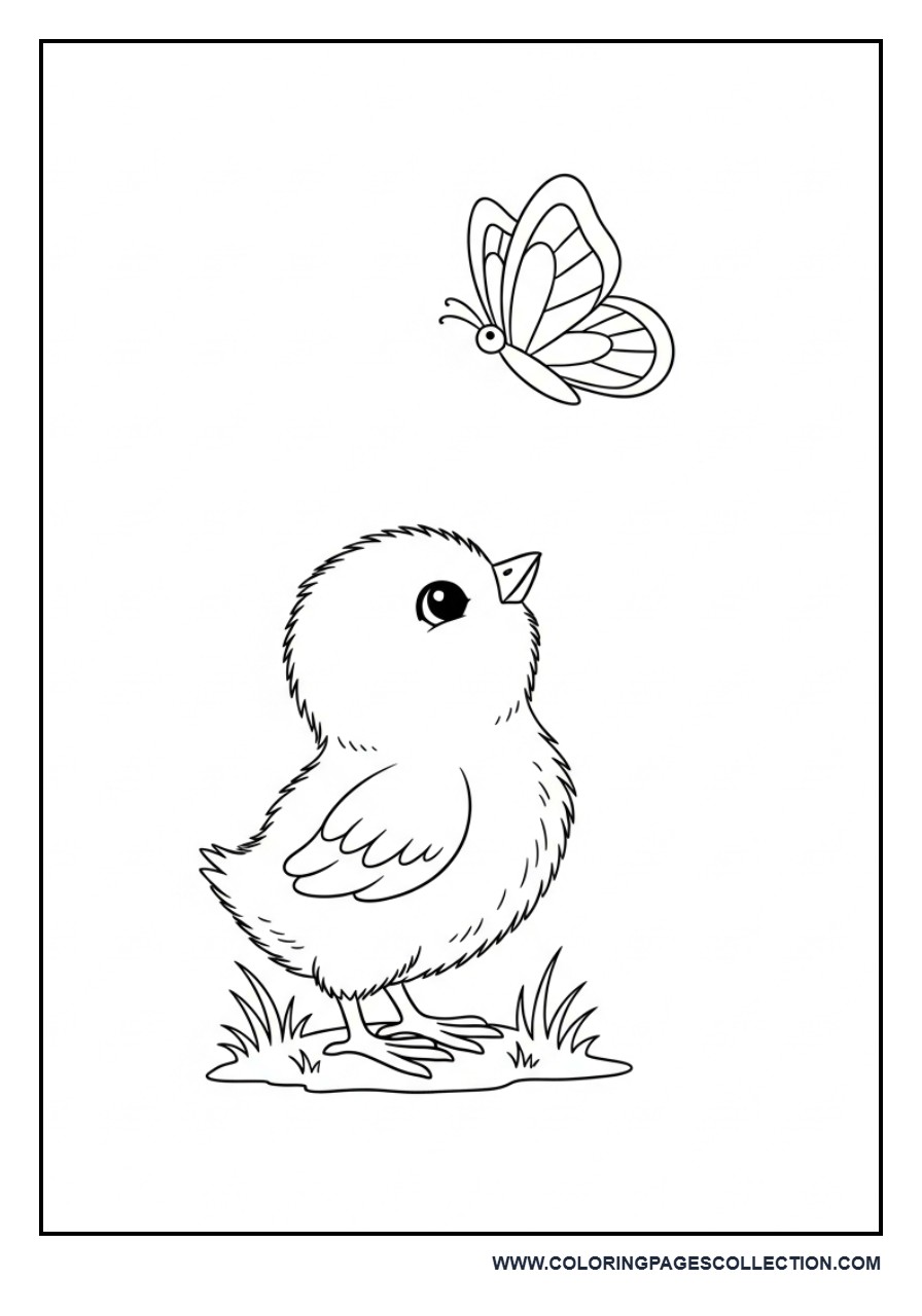 Chick Playing with Butterfly