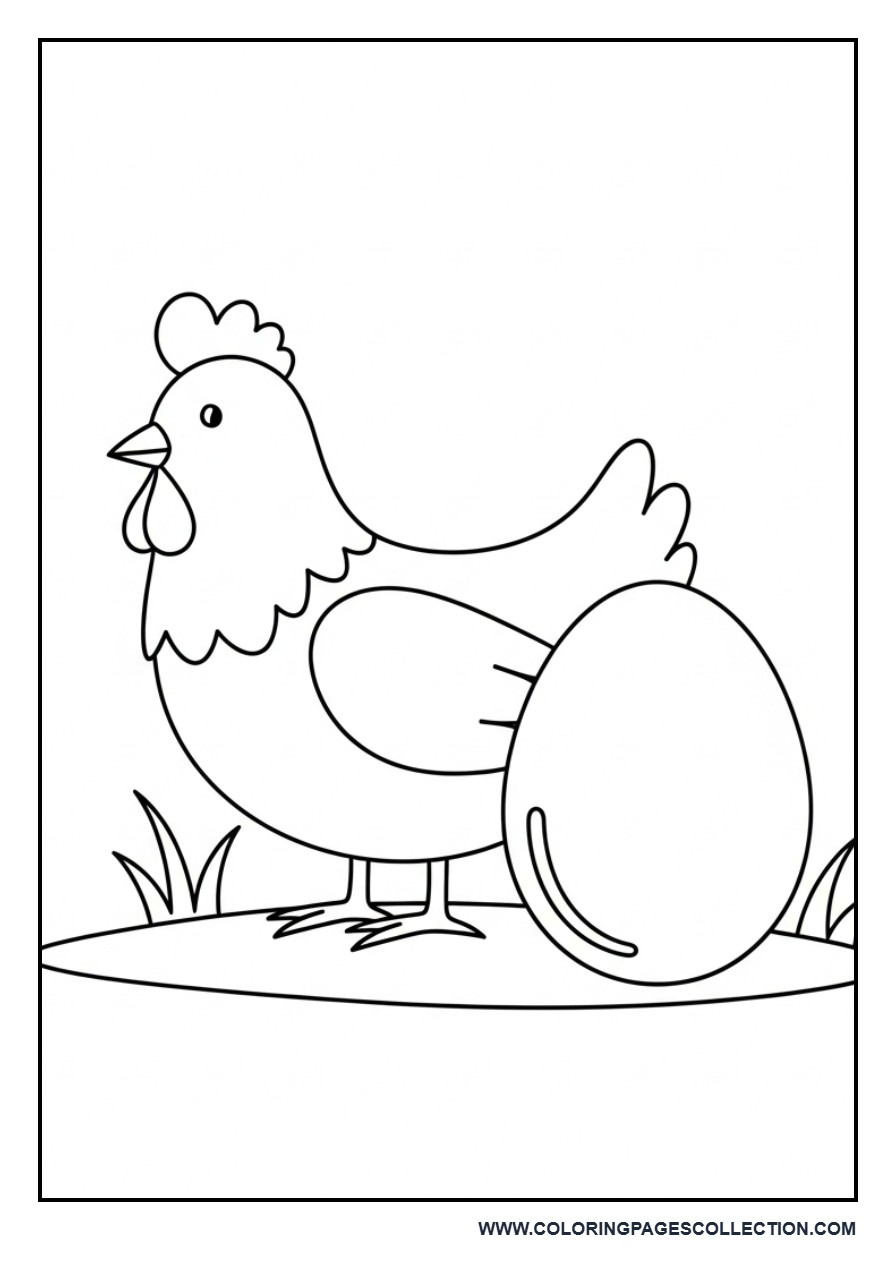 Chicken and Egg on Ground