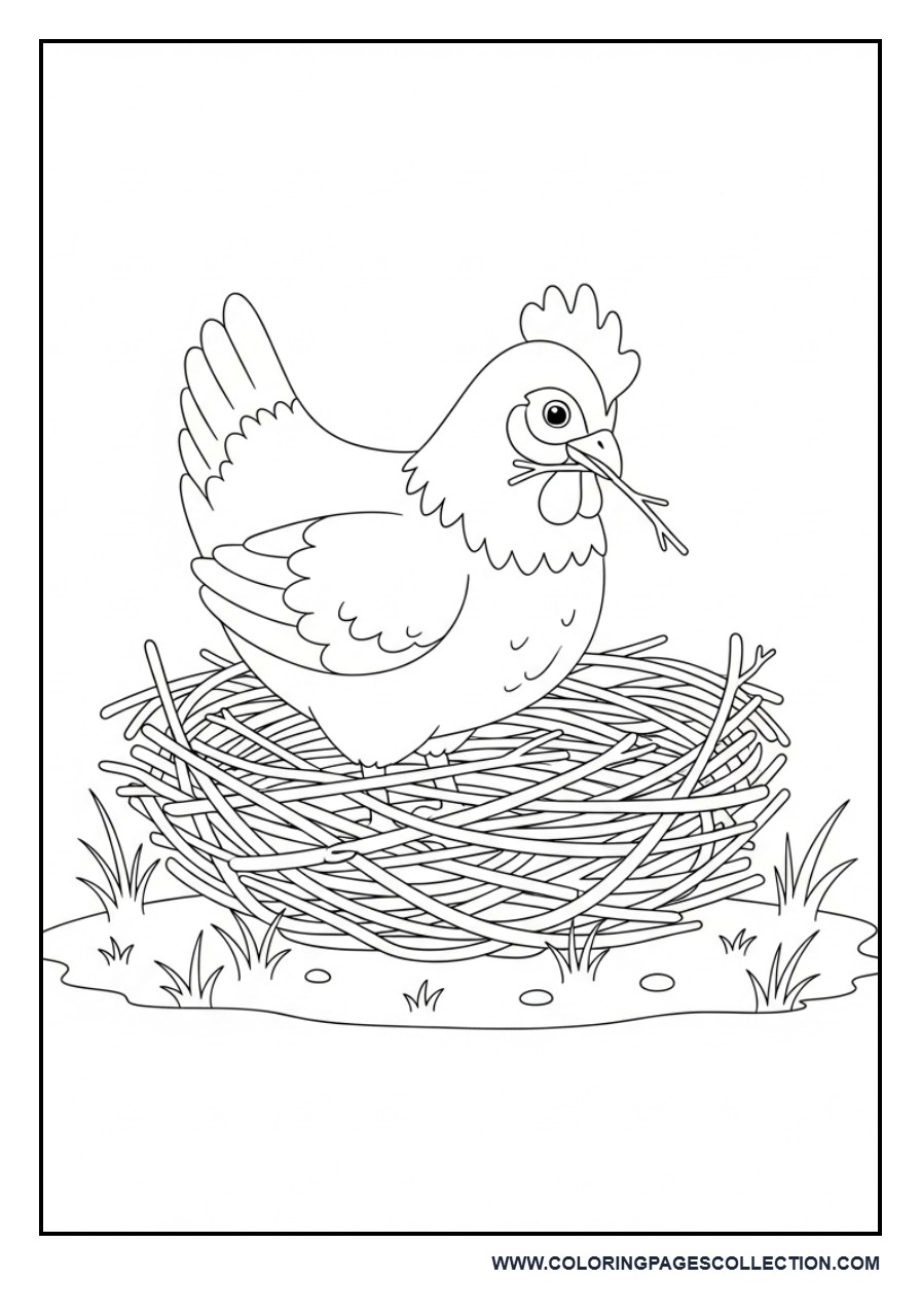 Chicken Building Nest