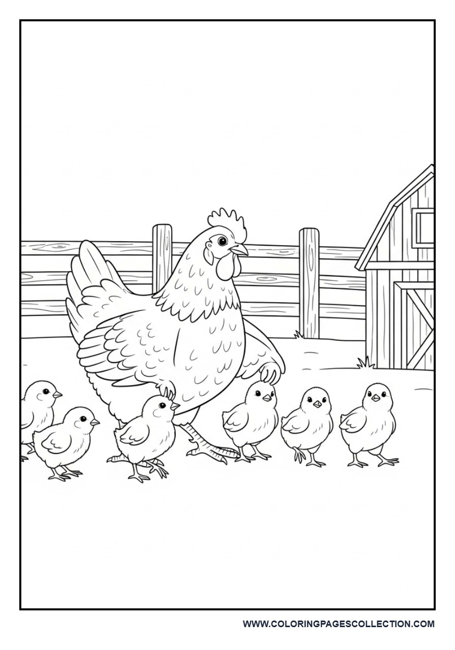 Chicken Family on Farm