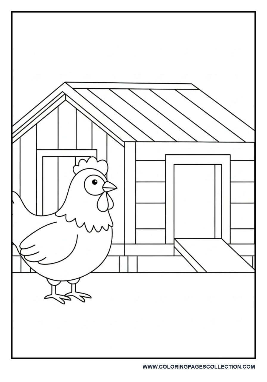 Chicken in Front of Coop