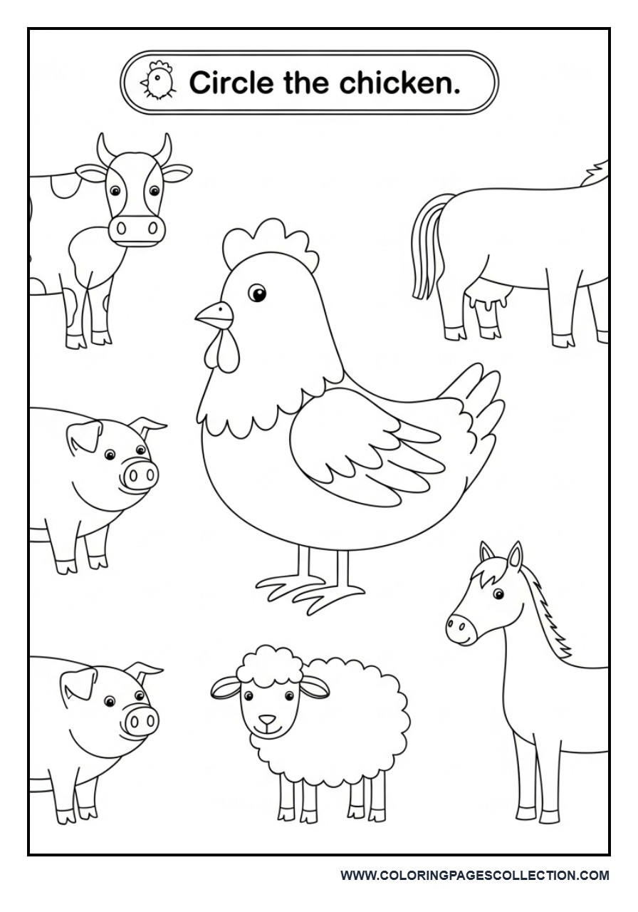 Circle the Chicken Activity