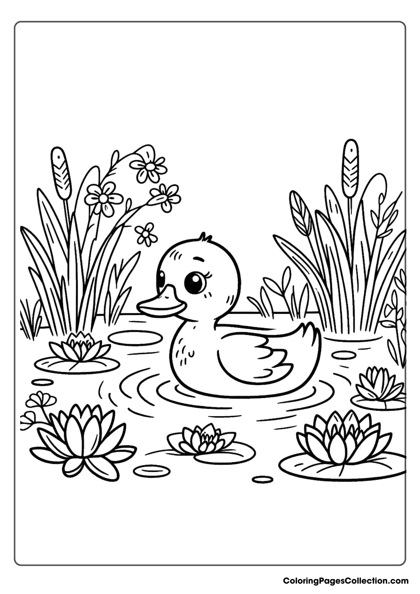 Duck In A Pond