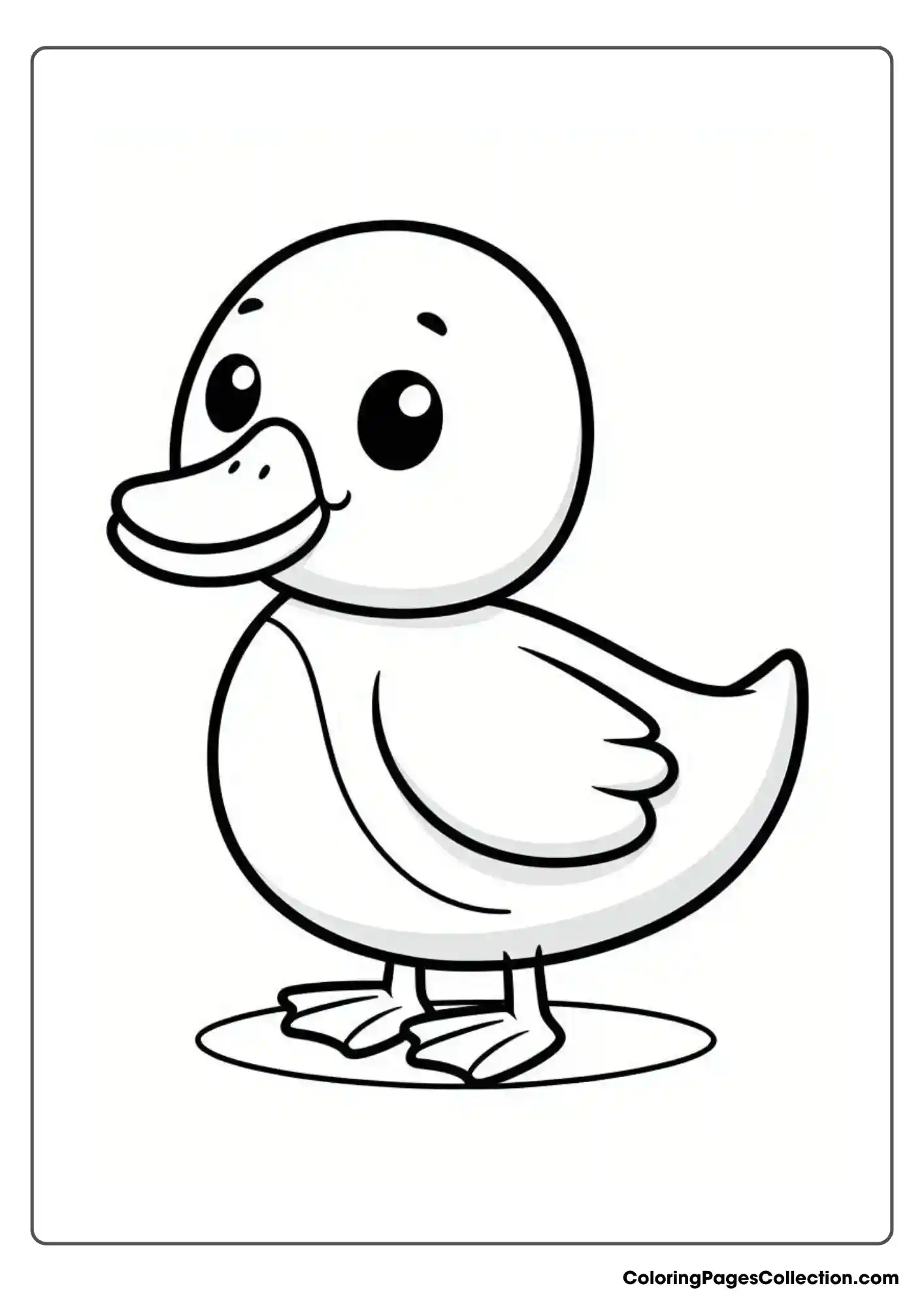 Duck With A Triangular Beak
