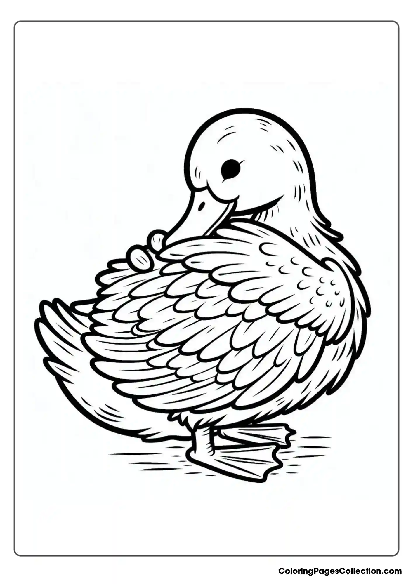 Duck Preening Its Feathers