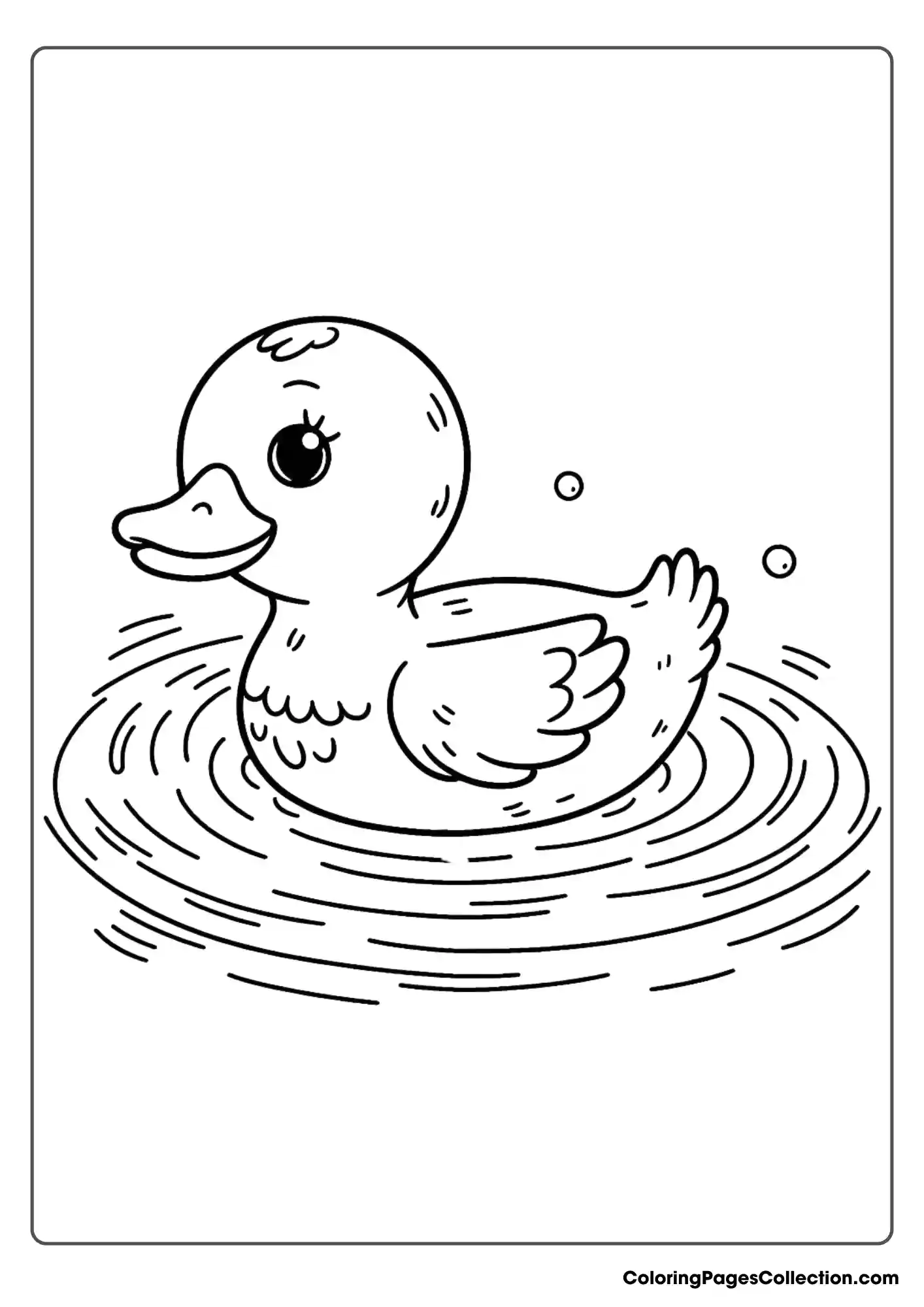 Duck Swimming