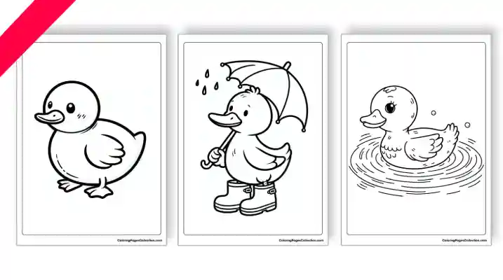 coloringpagescollection.com