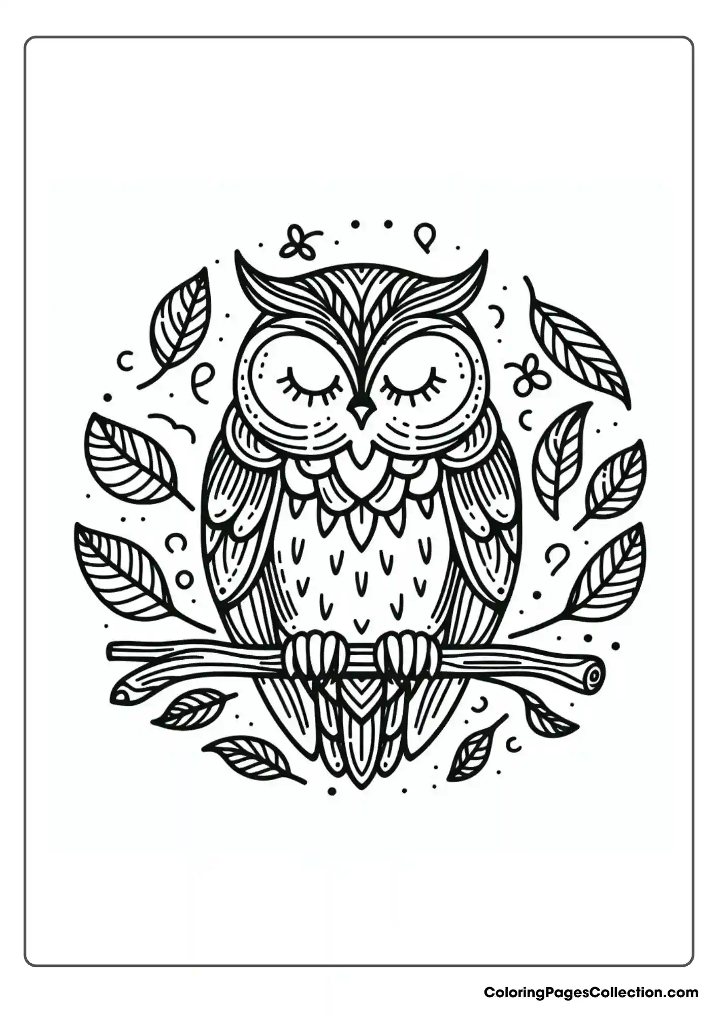 Owl coloring pages