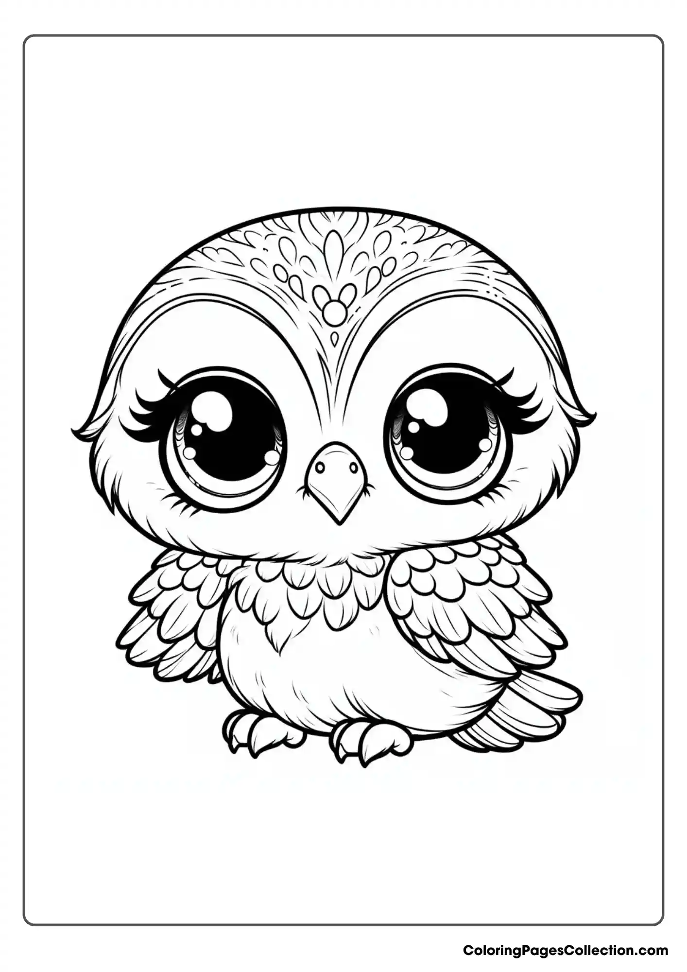 Owl coloring pages