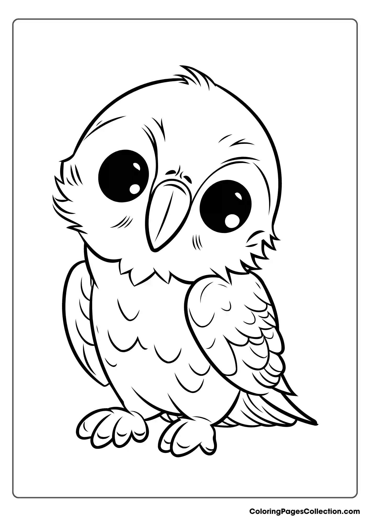 Owl coloring pages