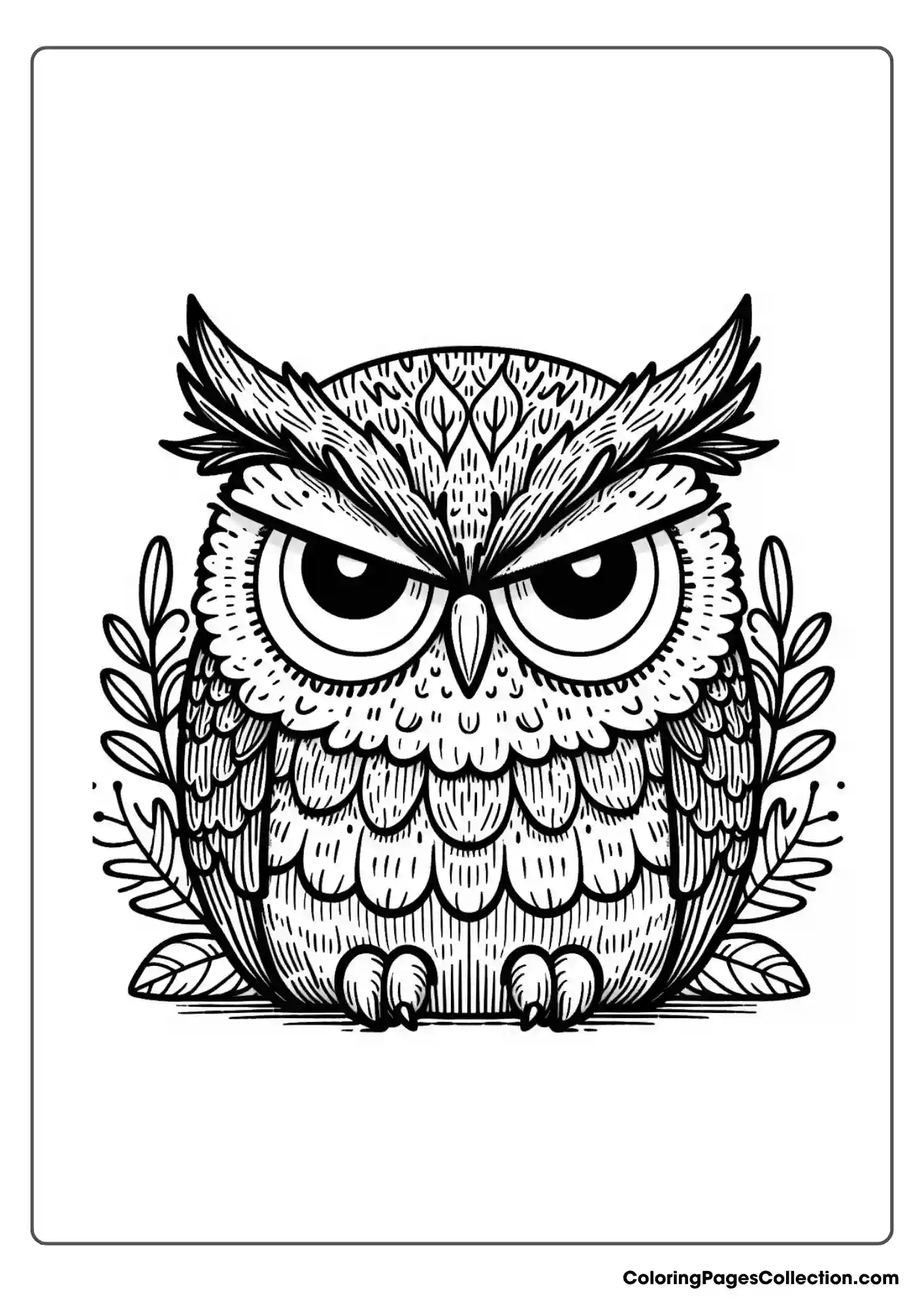 Owl coloring pages