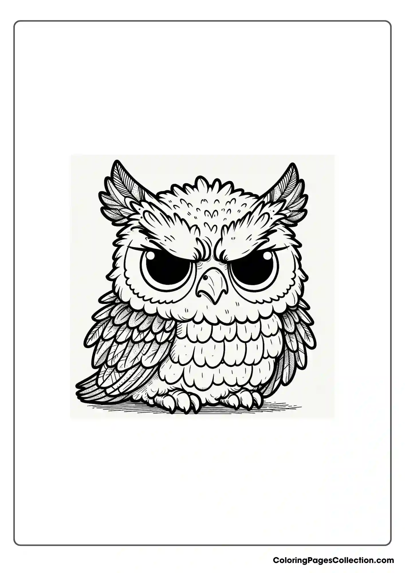 Owl coloring pages