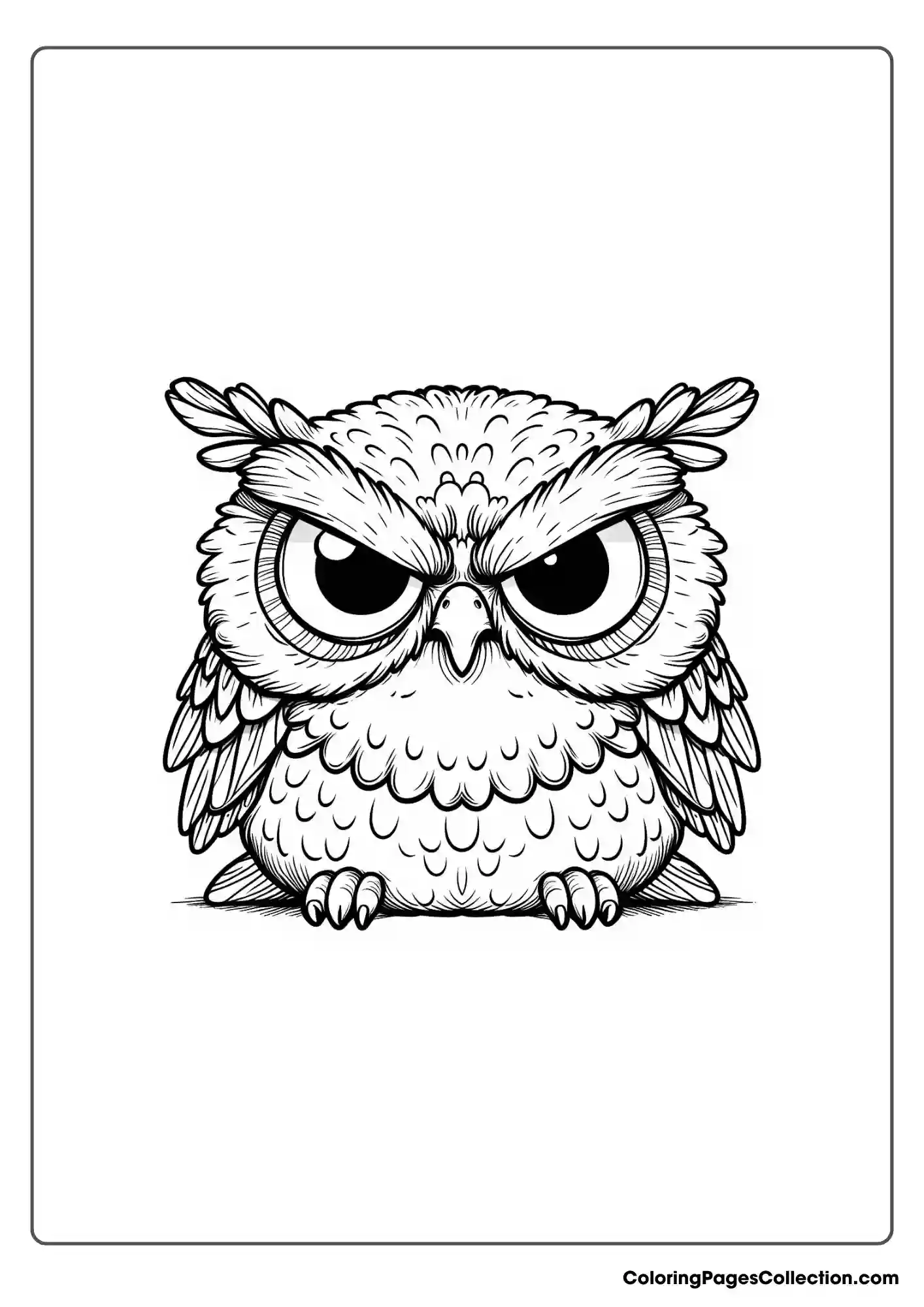 Owl coloring pages