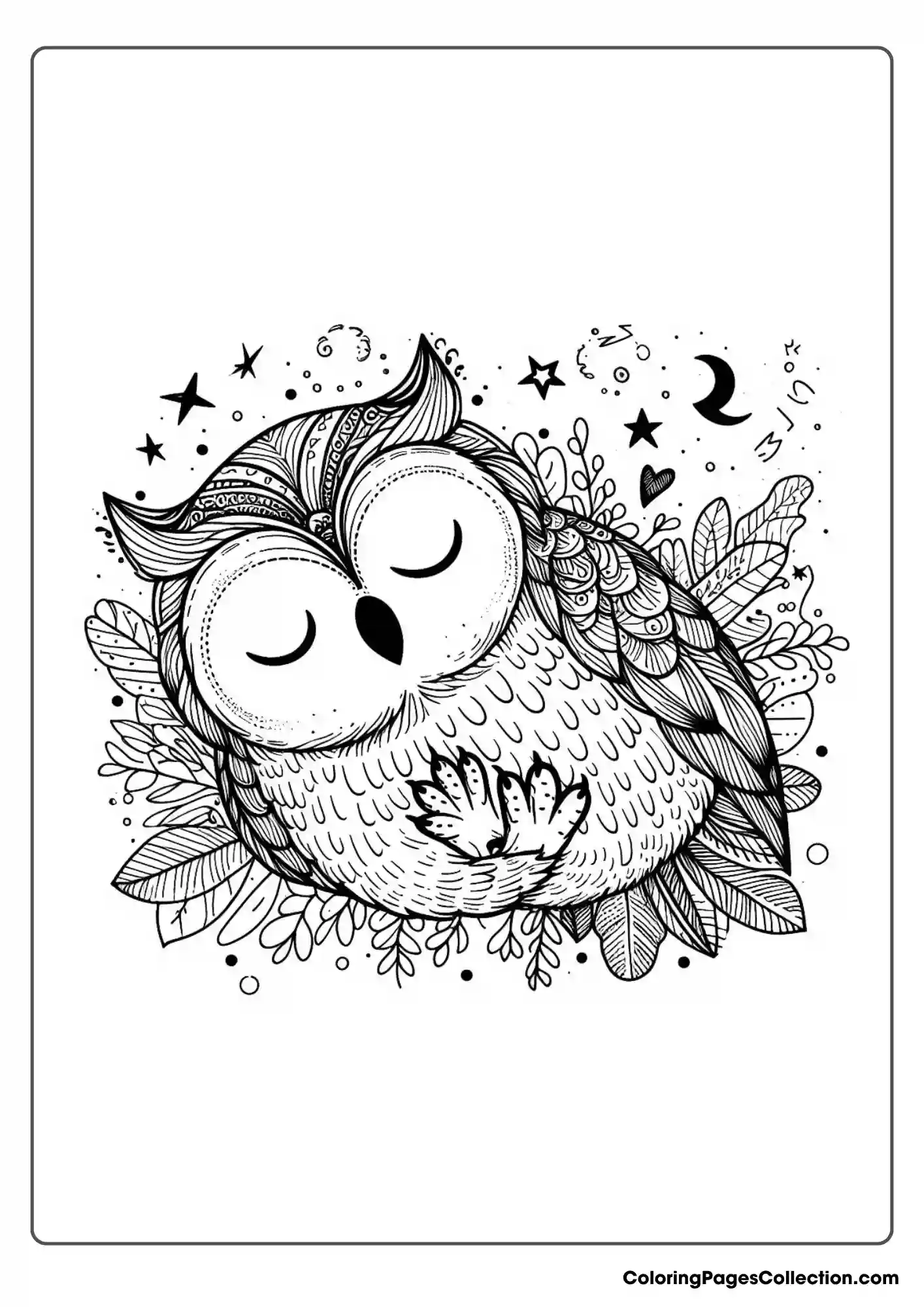 Owl coloring pages