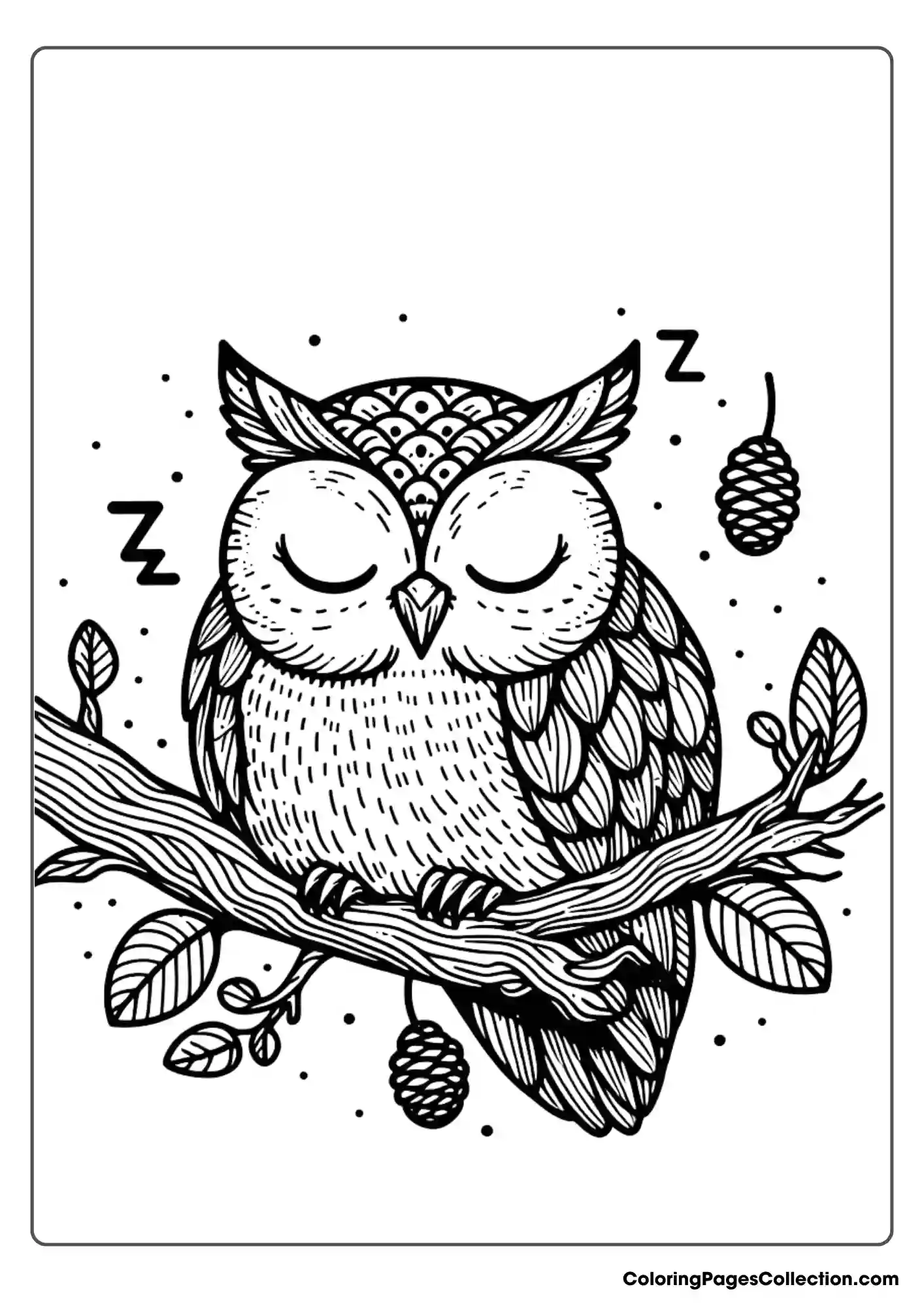 Owl coloring pages