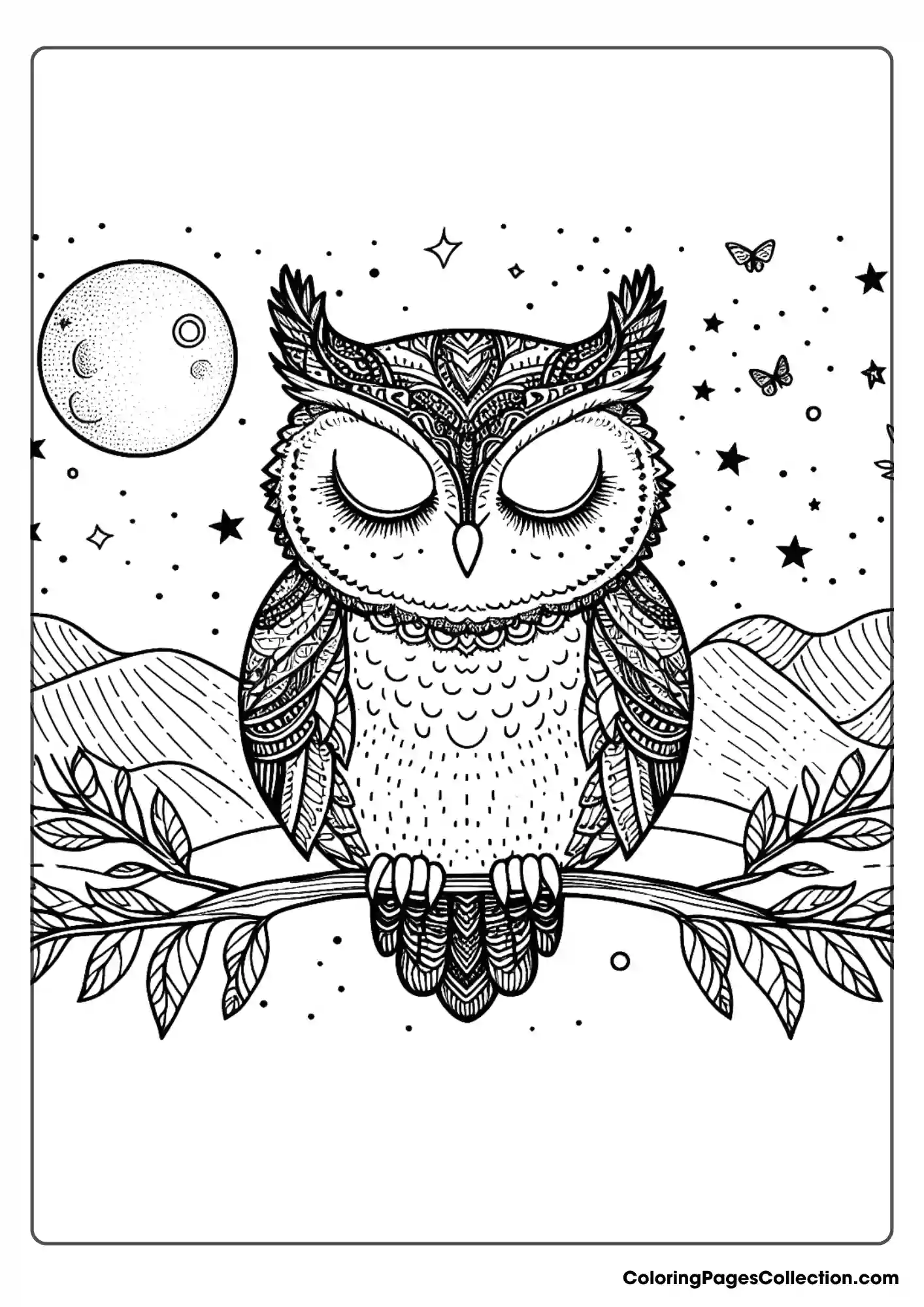 Owl coloring pages