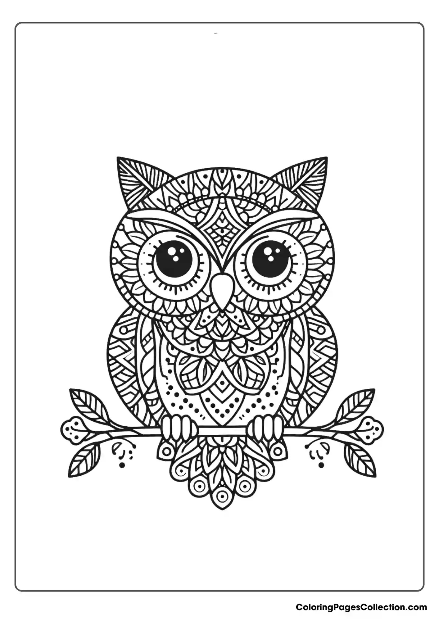 Owl coloring pages