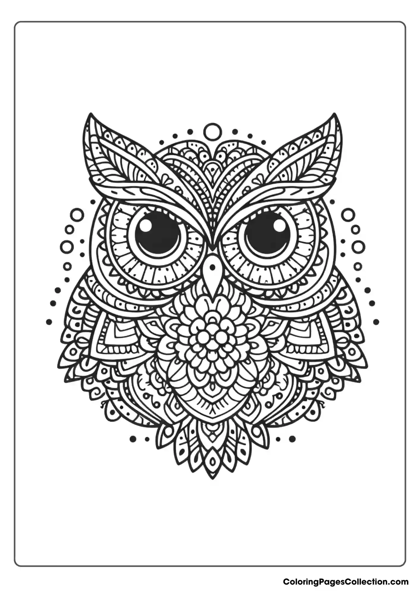 Owl coloring pages