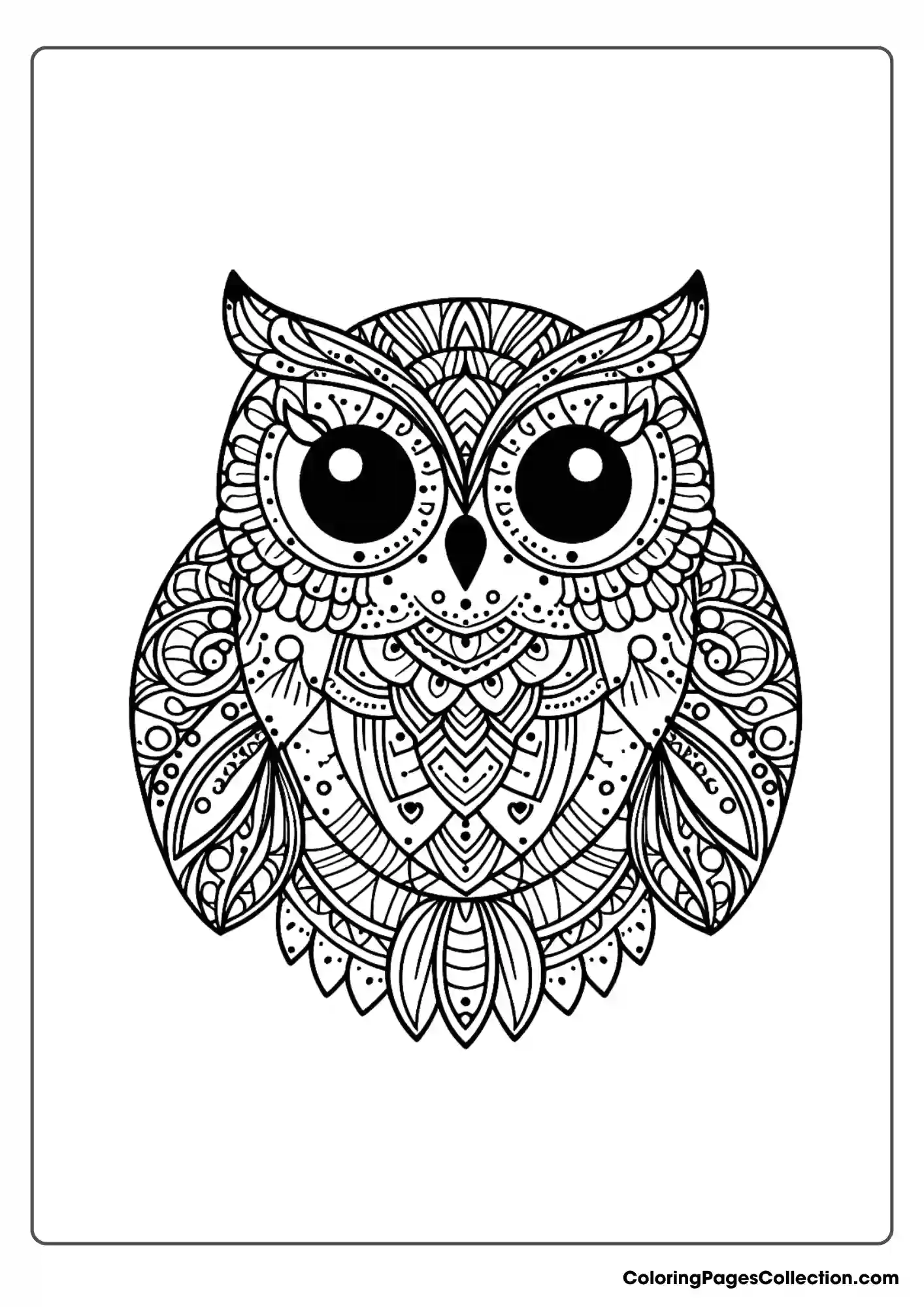 Owl coloring pages