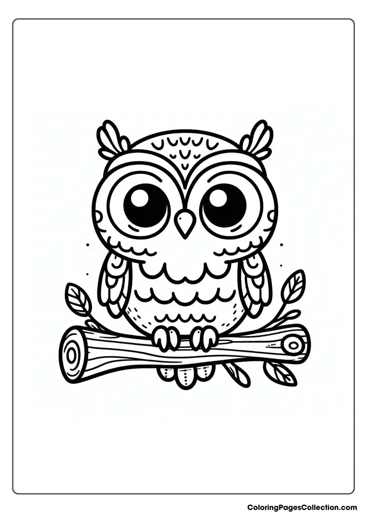 Owl coloring pages