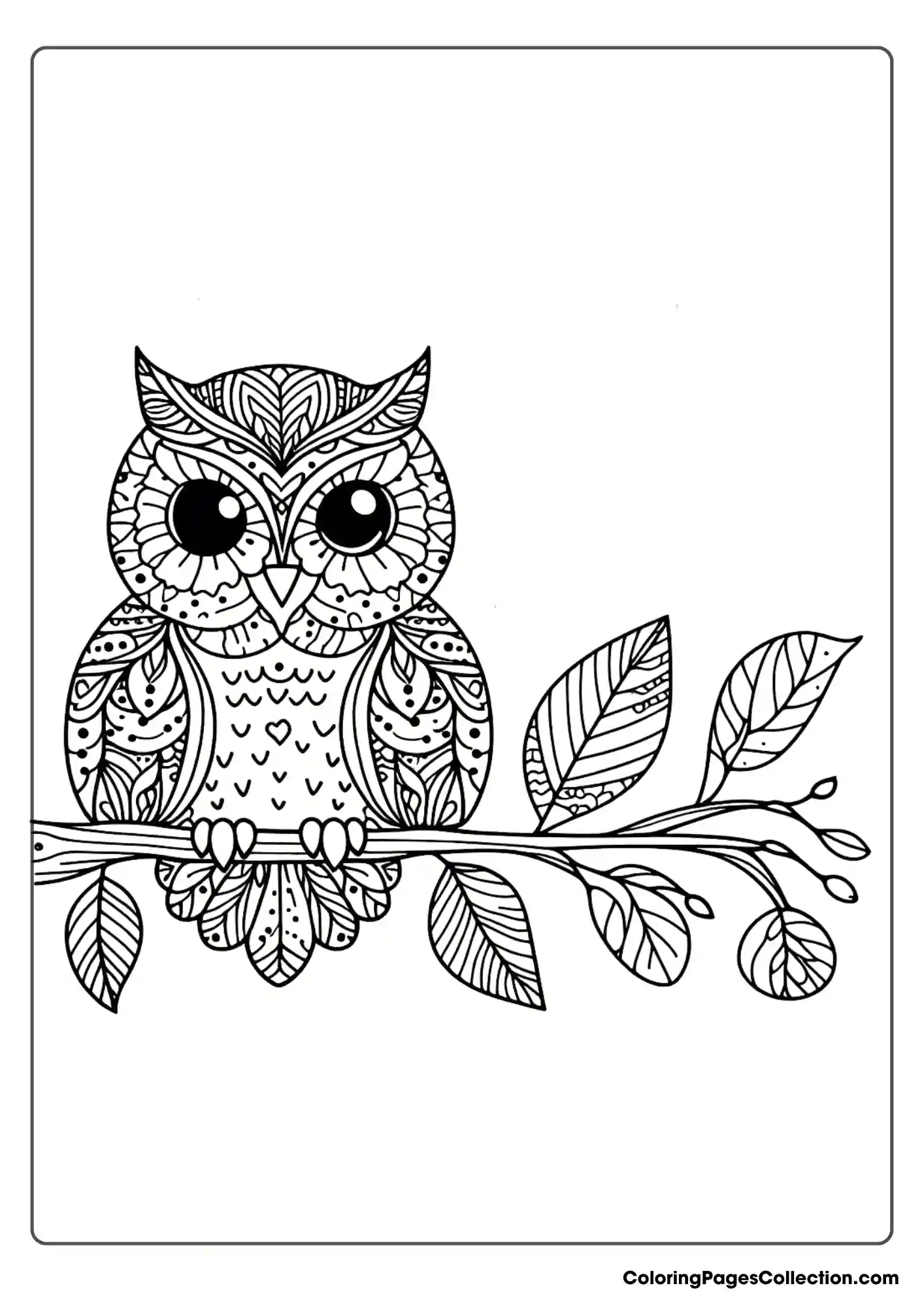 Owl coloring pages