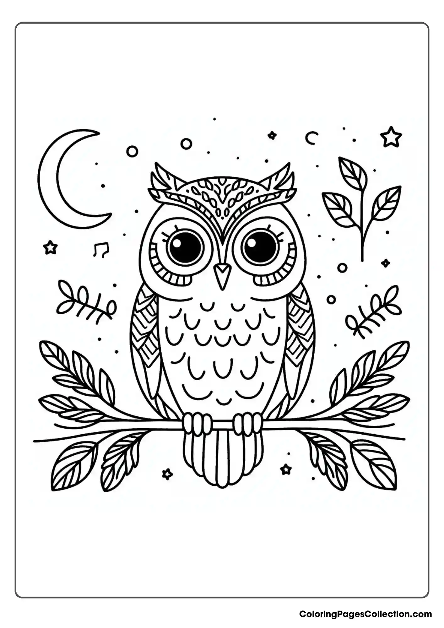 Owl coloring pages