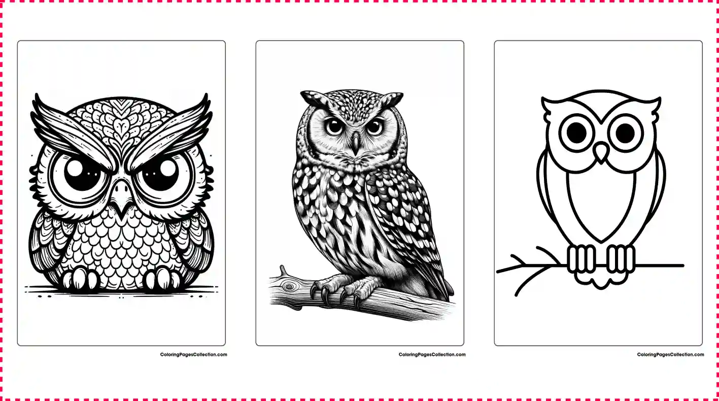Owl coloring pages