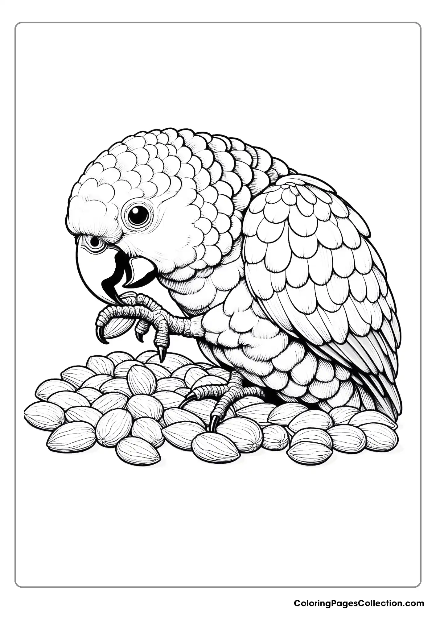 A Parrot Eating Almonds