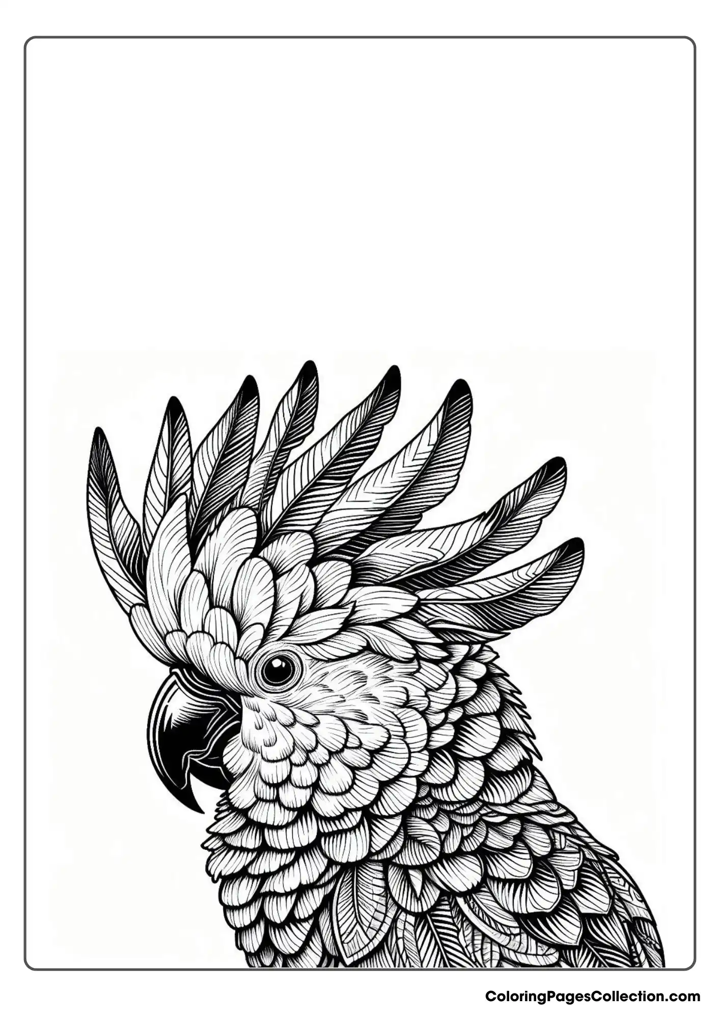 A Cockatoo With Its Crest Raised