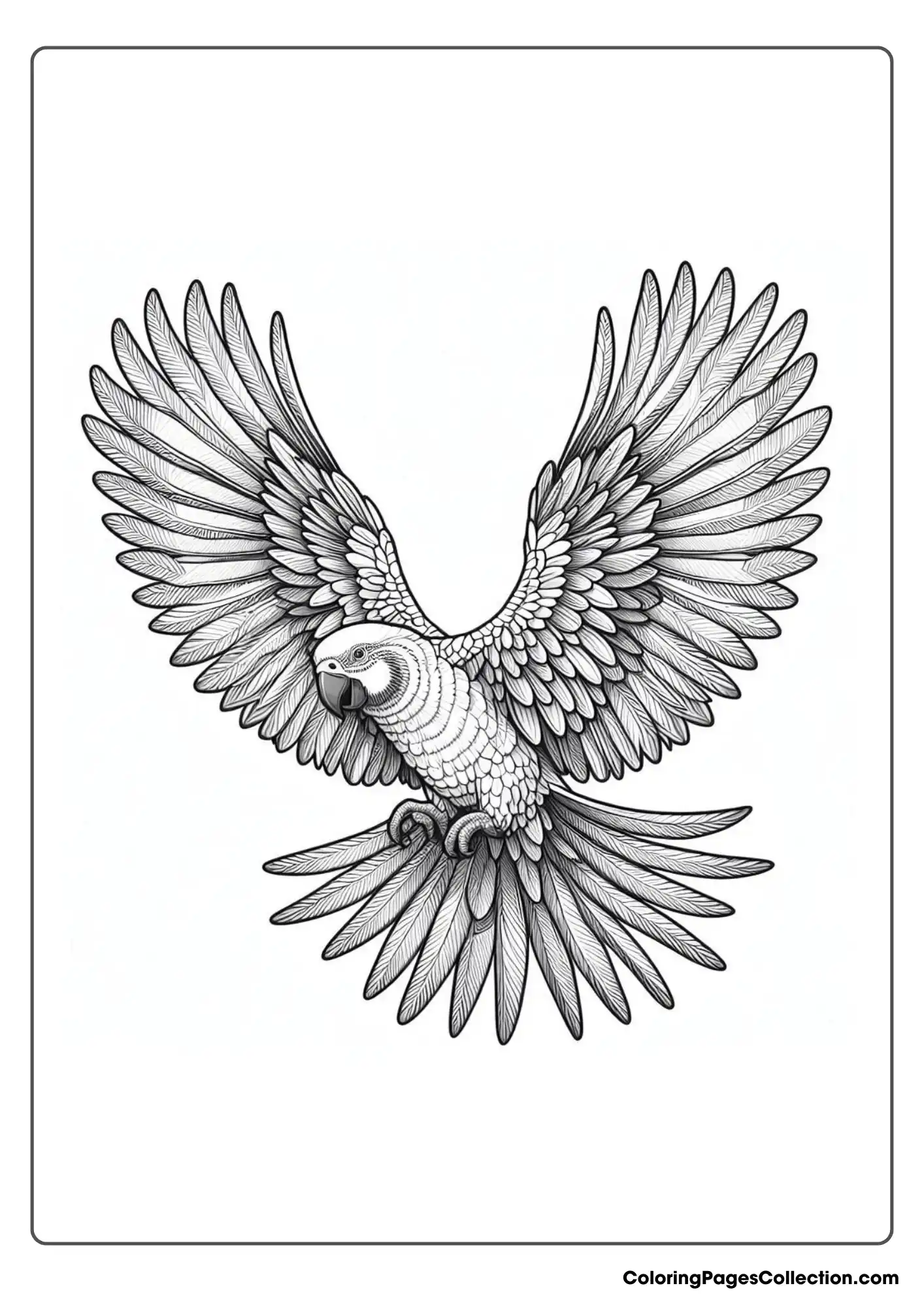 A Parrot In Flight