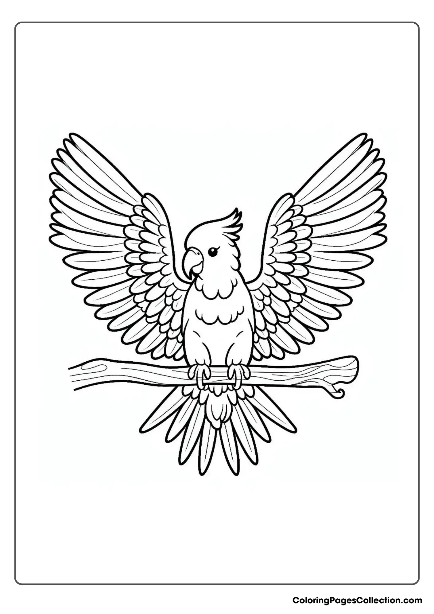A Parrot With Its Wings Spread