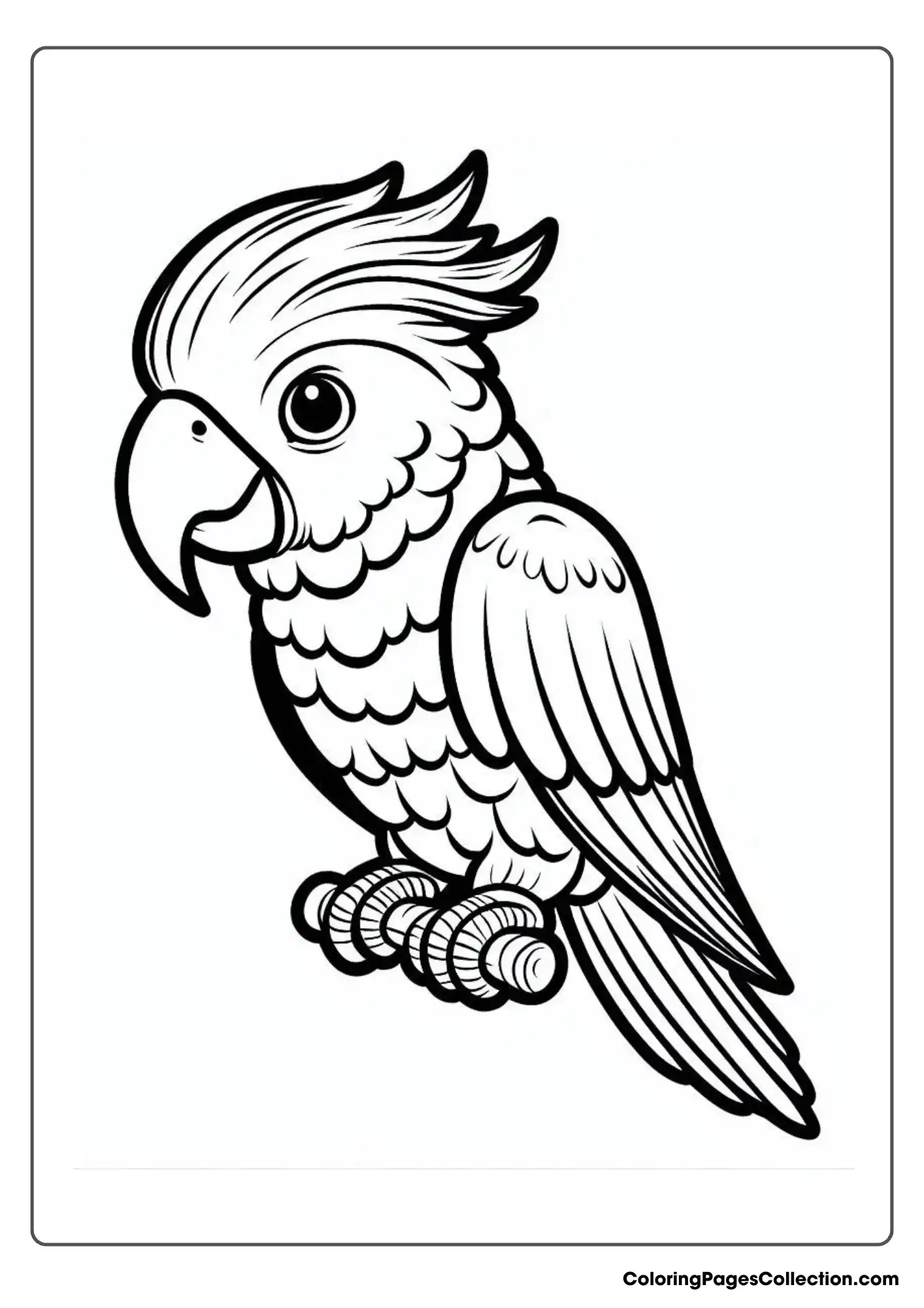 A Parrot With A Distinct Crest