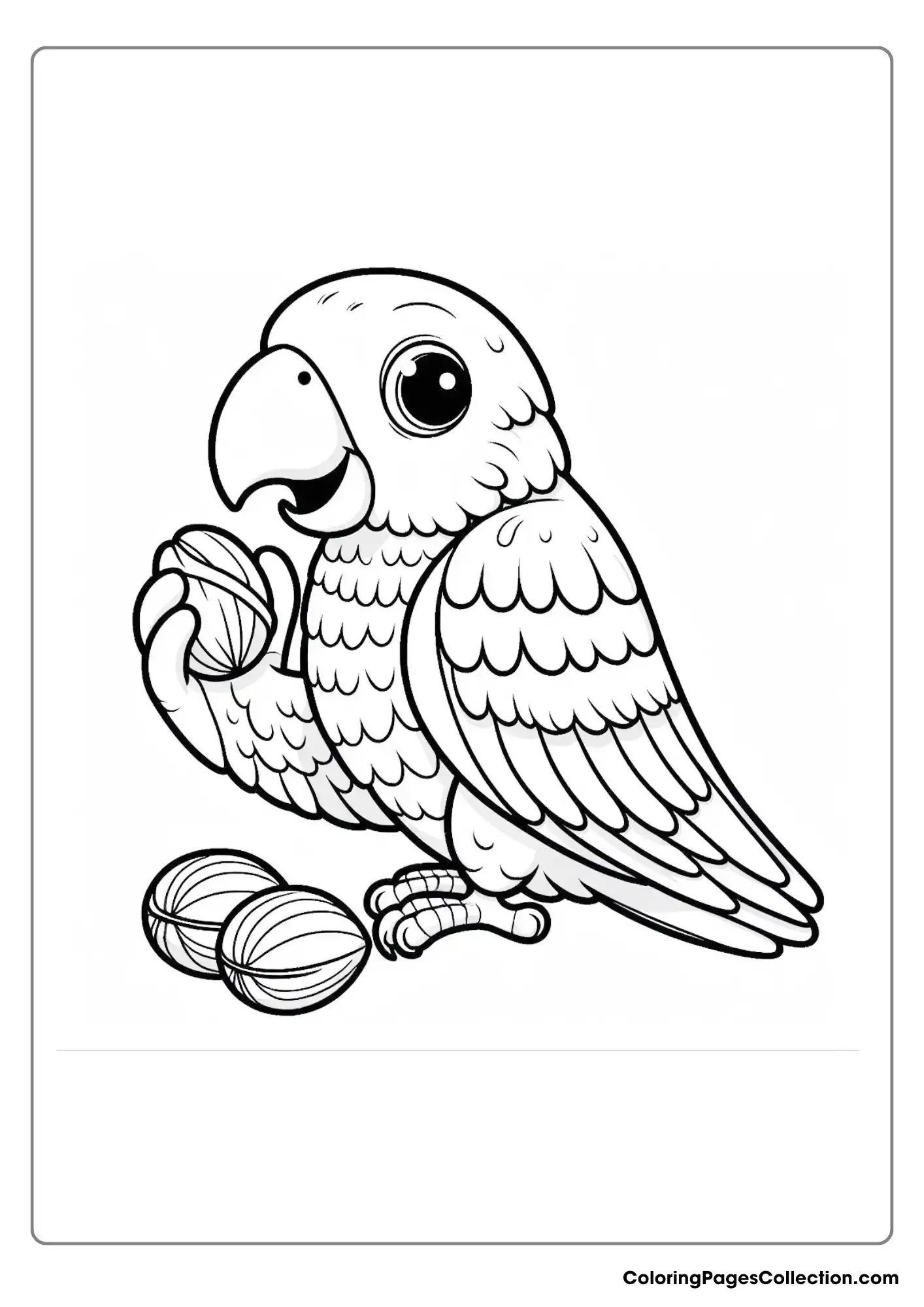 A Parrot Holding A Nut