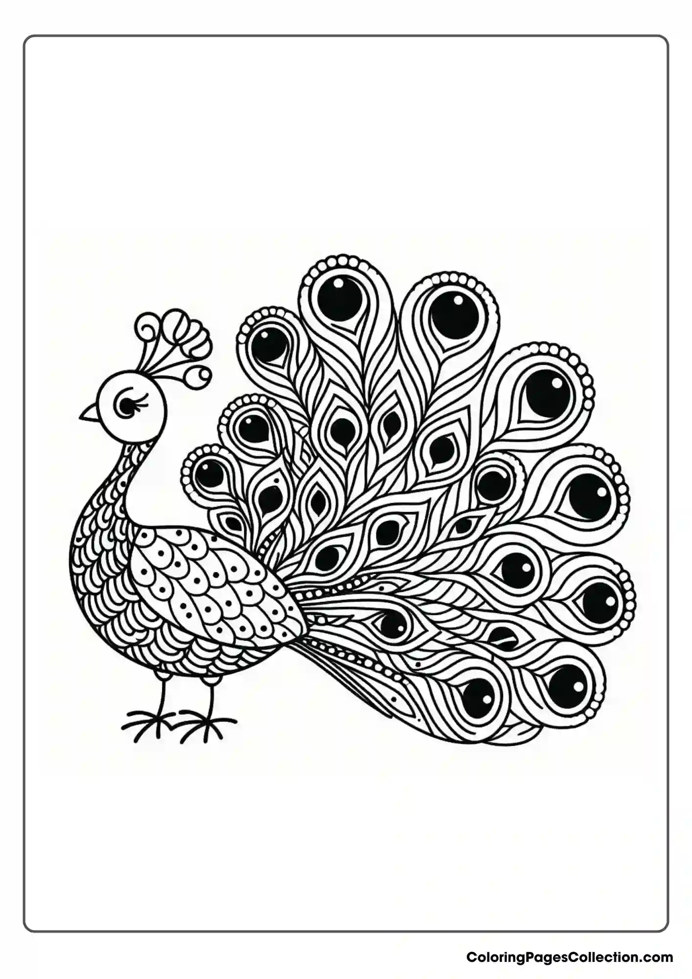 Peacock With Large
